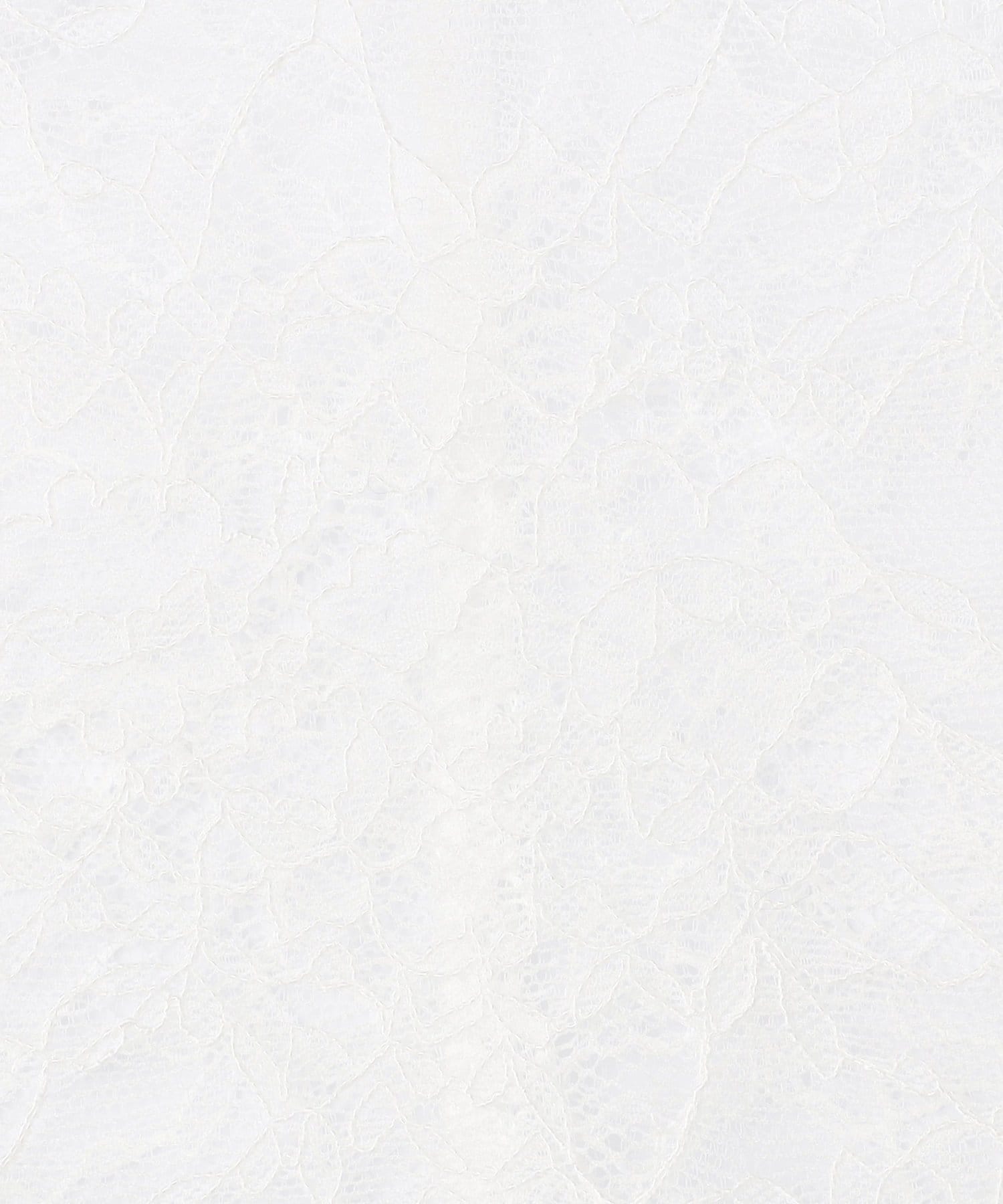 NOLLEY'S(ノーリーズ) ウォッシャブルラッセルレースＴブラウス