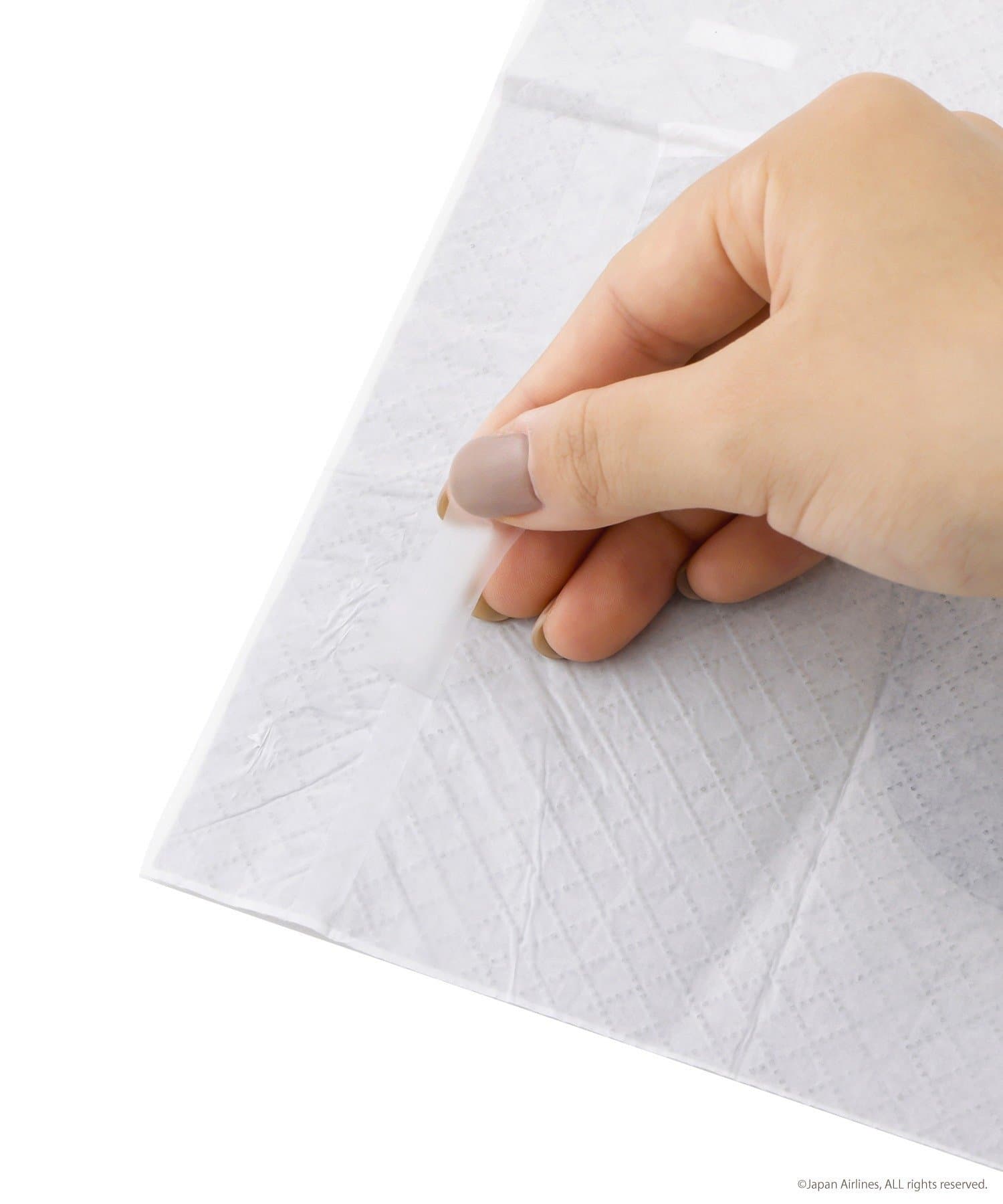 3COINS(スリーコインズ) 使い捨て吸水シート6枚セット／JAPAN AIRLINES