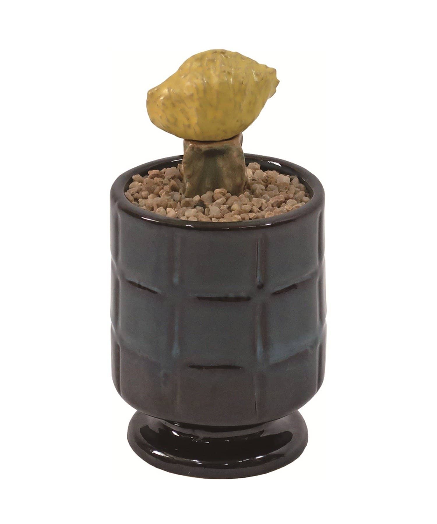 BIRTHDAY BAR(バースデイバー) POST GENERAL カクティポット　植物のようなインテリアオブジェ