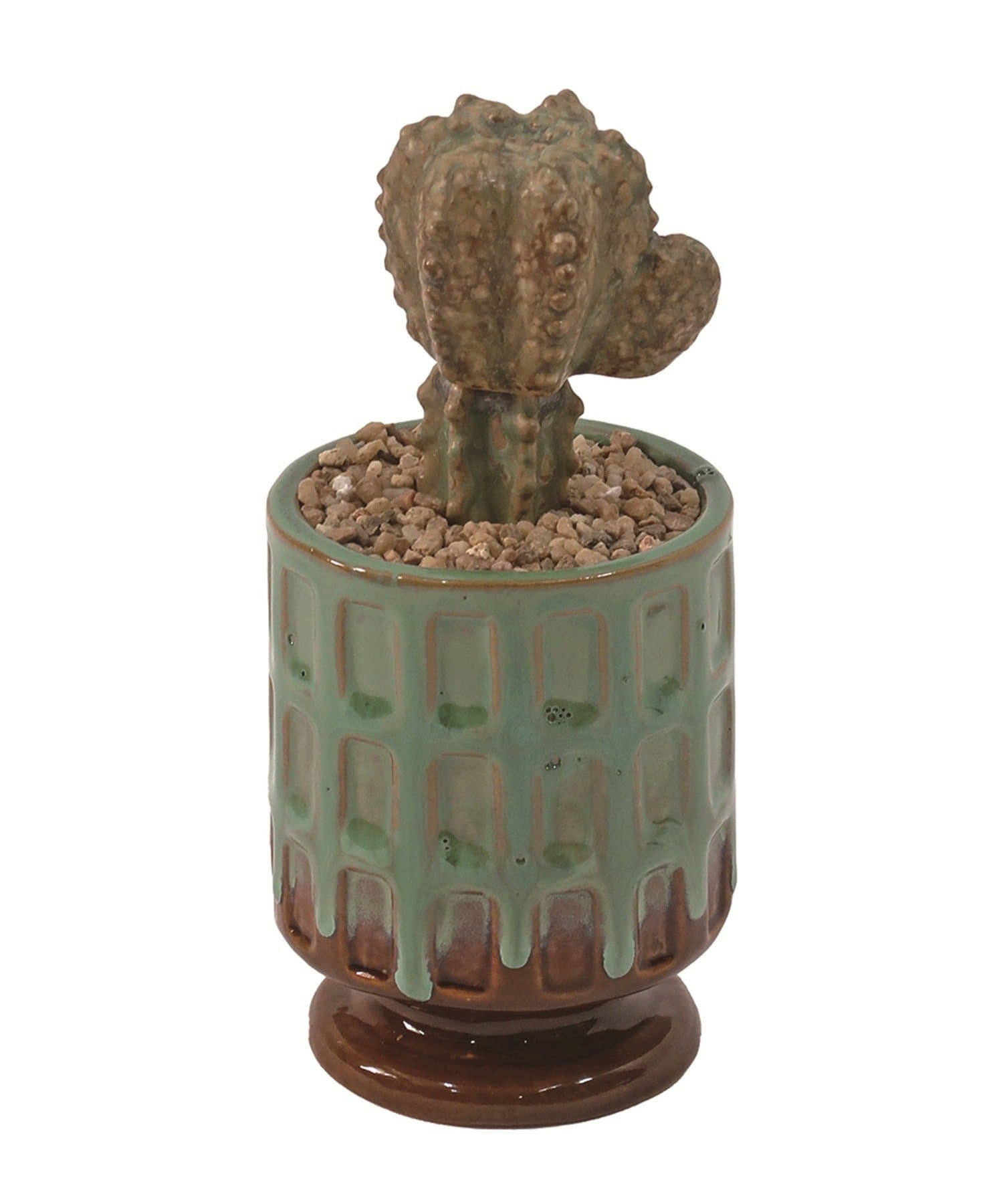 BIRTHDAY BAR(バースデイバー) POST GENERAL カクティポット　植物のようなインテリアオブジェ