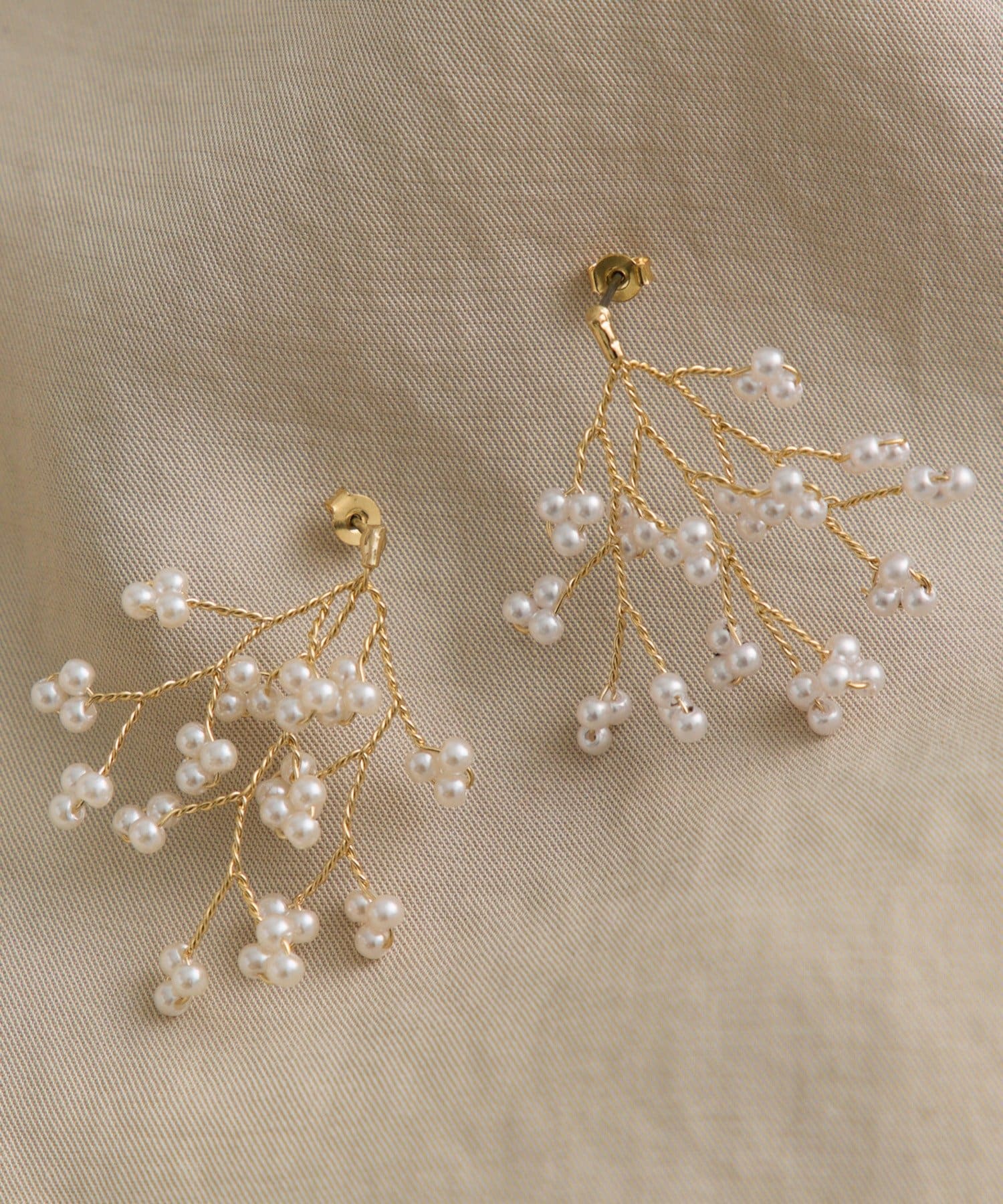 2026 Anniversary THE SPECIAL DAY