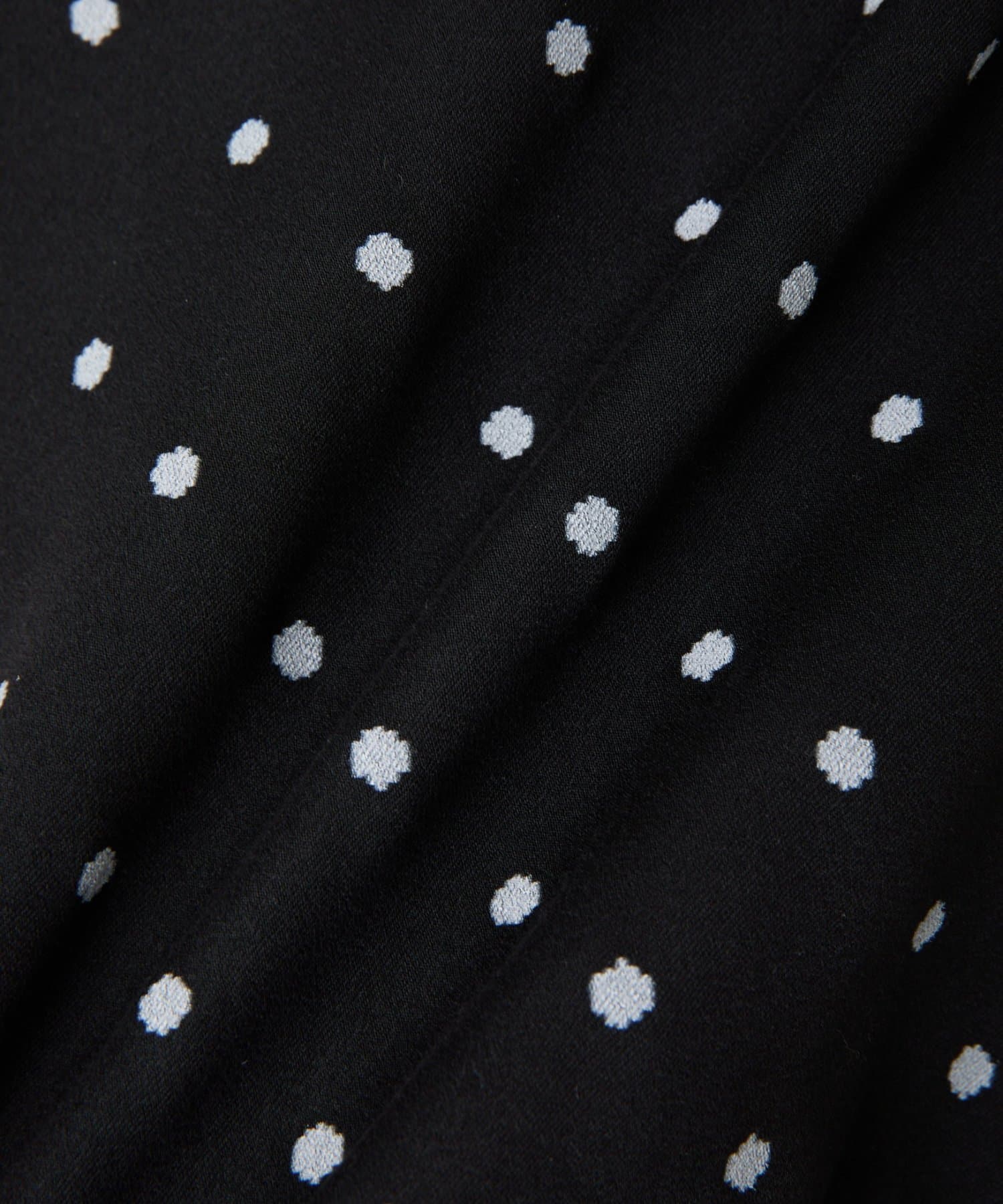 BEARDSLEY(ビアズリー) ラフドットプリントブラウス