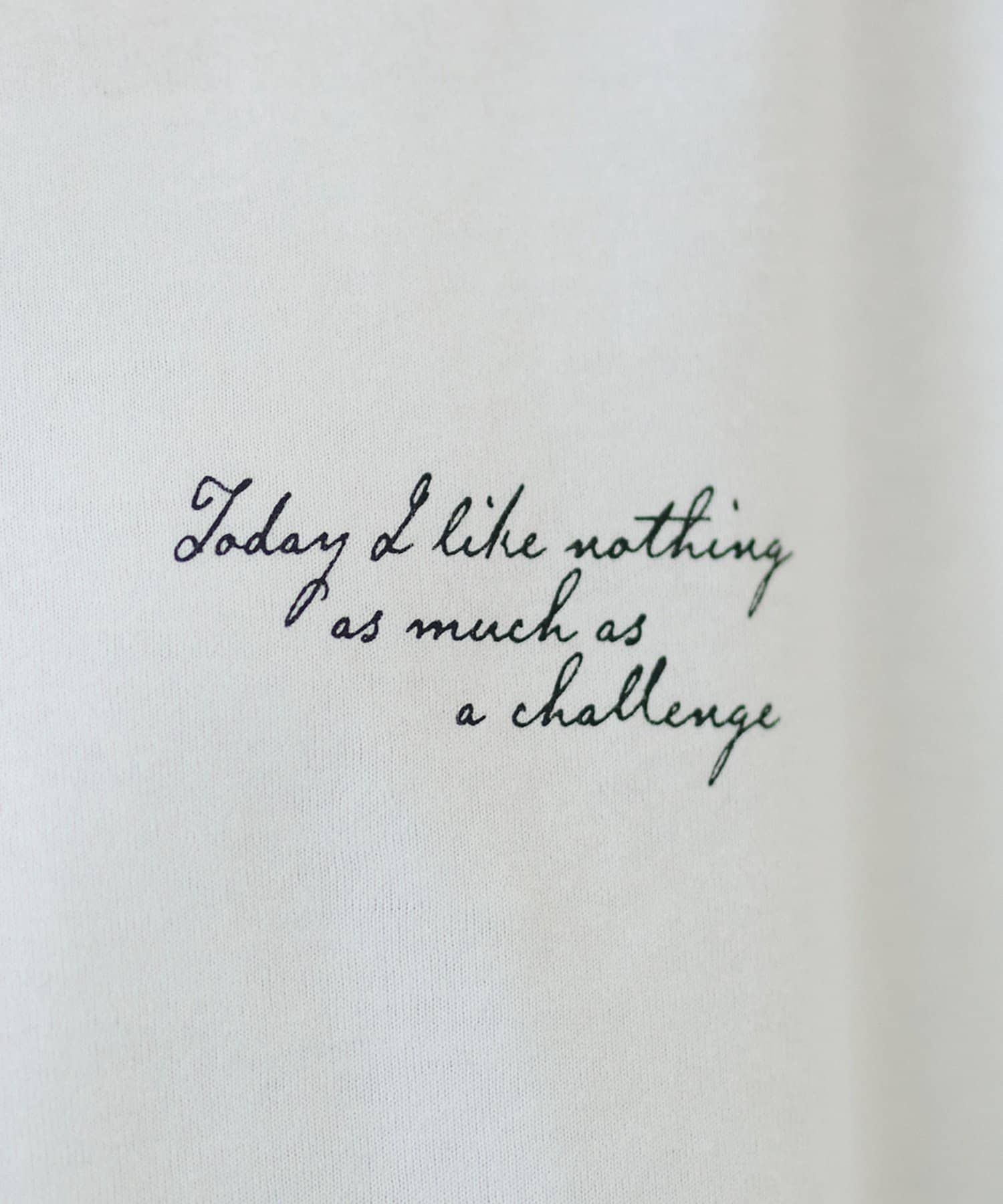 DISCOAT(ディスコート) 【Enlude別注|マリリン・モンロー】グラフィックロンT