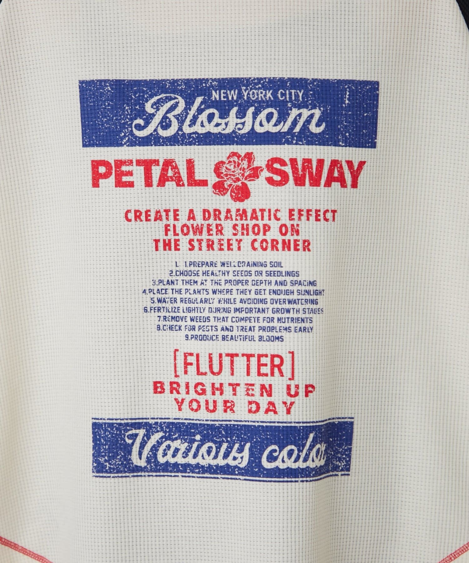 CIAOPANIC TYPY(チャオパニックティピー) 【HELLO.SANFRANCISCO/ハローサンフランシスコ】プリントワッフルラグランTEE