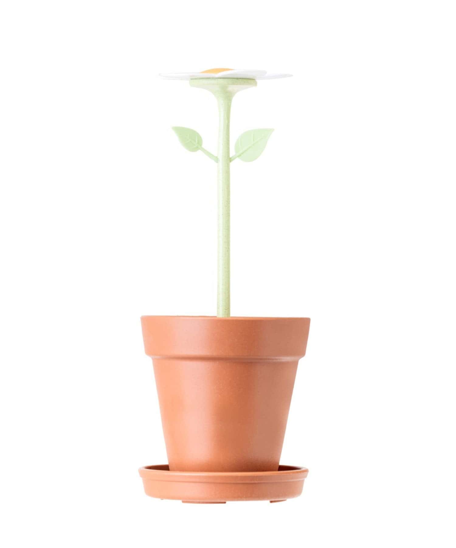 BIRTHDAY BAR(バースデイバー) フローガニック トゥースブラシホルダー