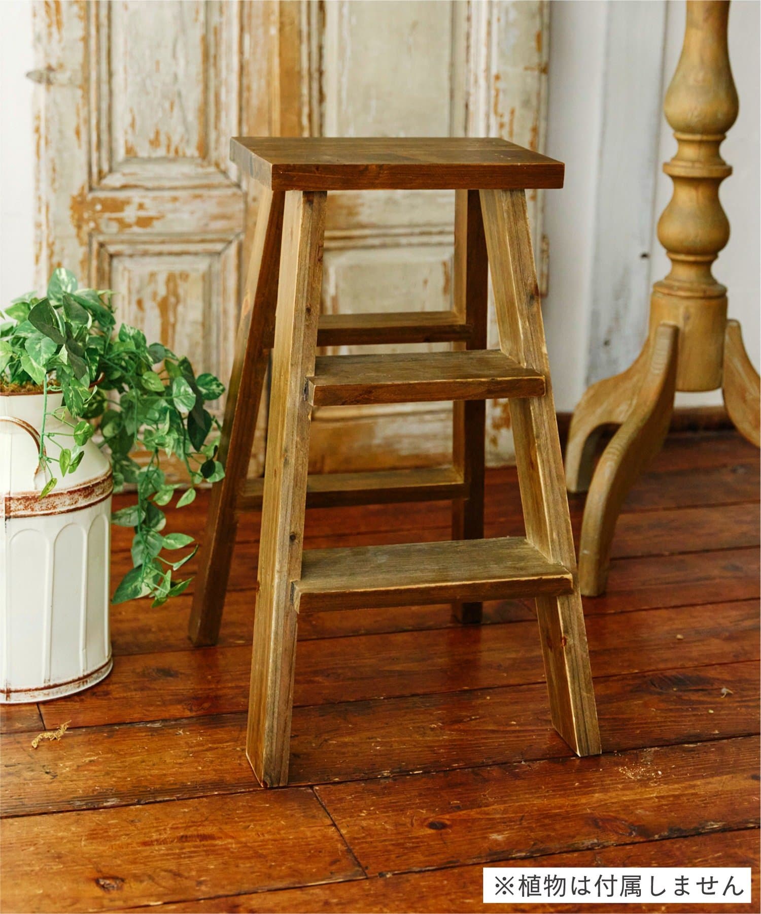 salut!(サリュ) ステップラダーラック／Natural Country Garden