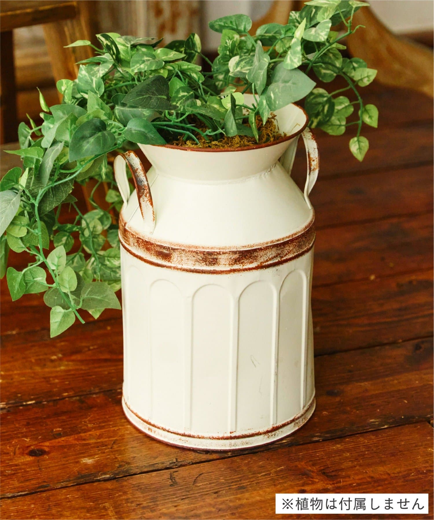 salut!(サリュ) ブリキミルク缶／Natural Country Garden