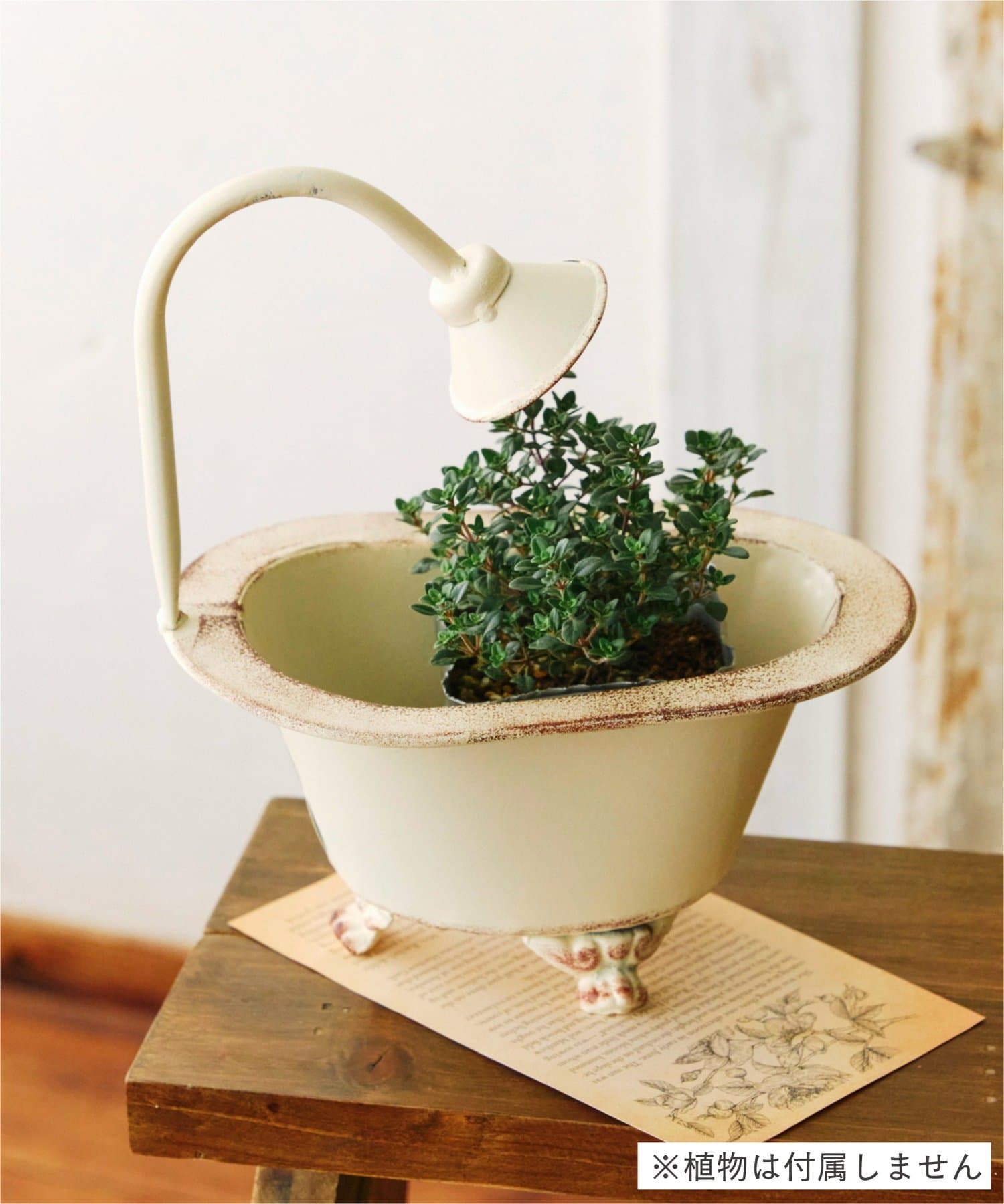 salut!(サリュ) ブリキミニバスタブ／Natural Country Garden