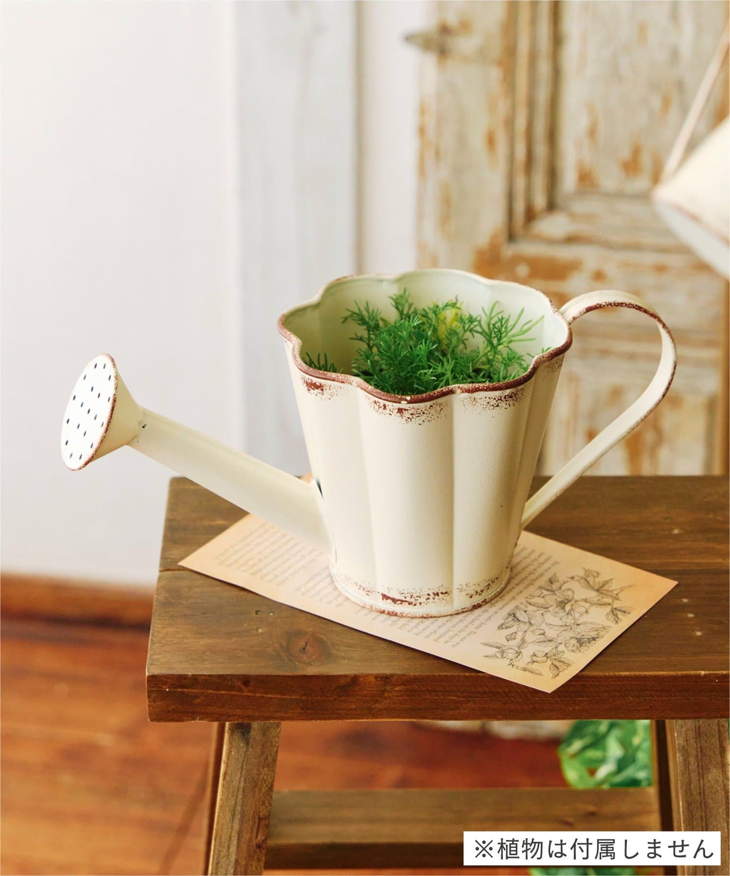 salut!(サリュ) ブリキジョーロ／Natural Country Garden