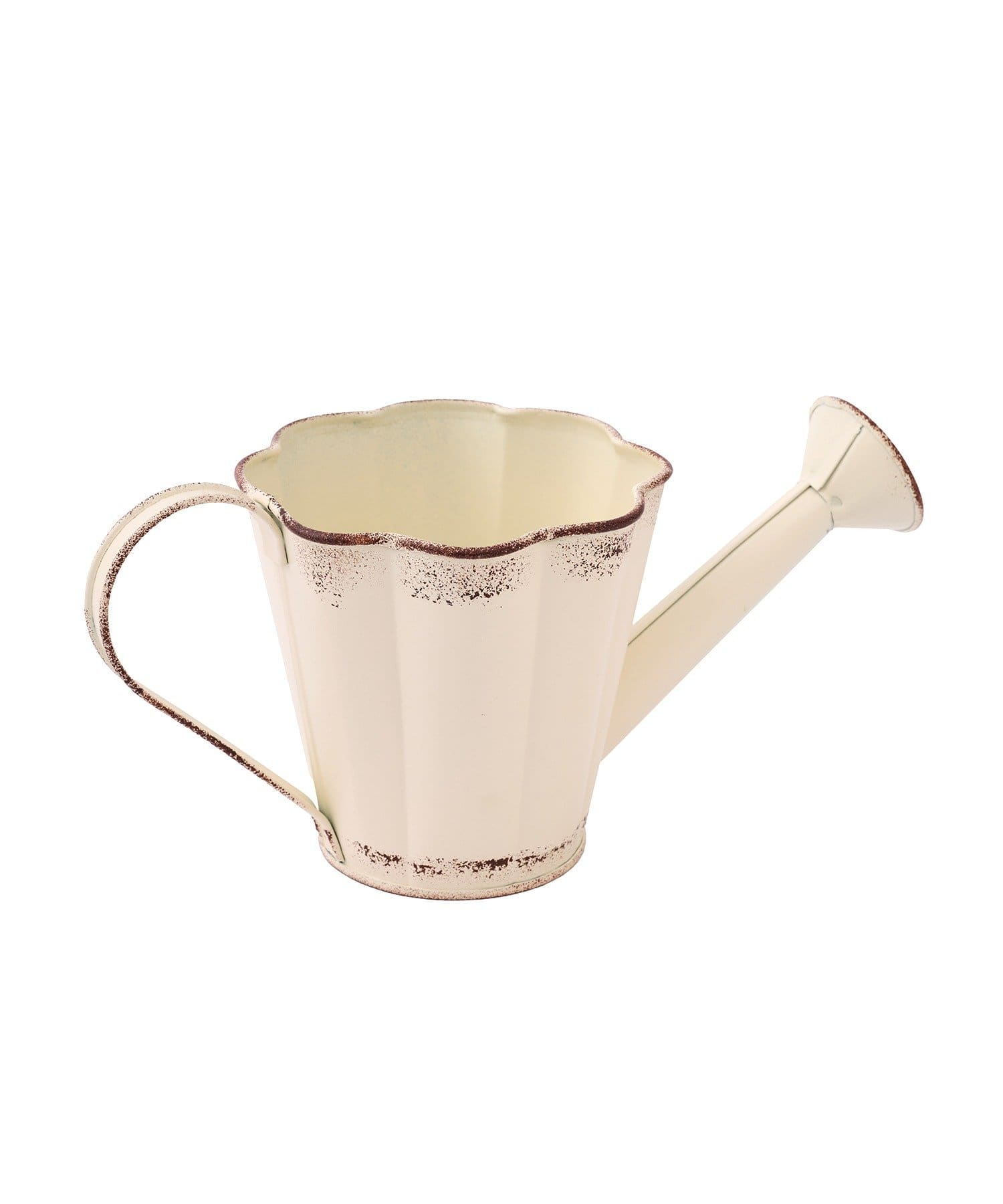 salut!(サリュ) ブリキジョーロ／Natural Country Garden