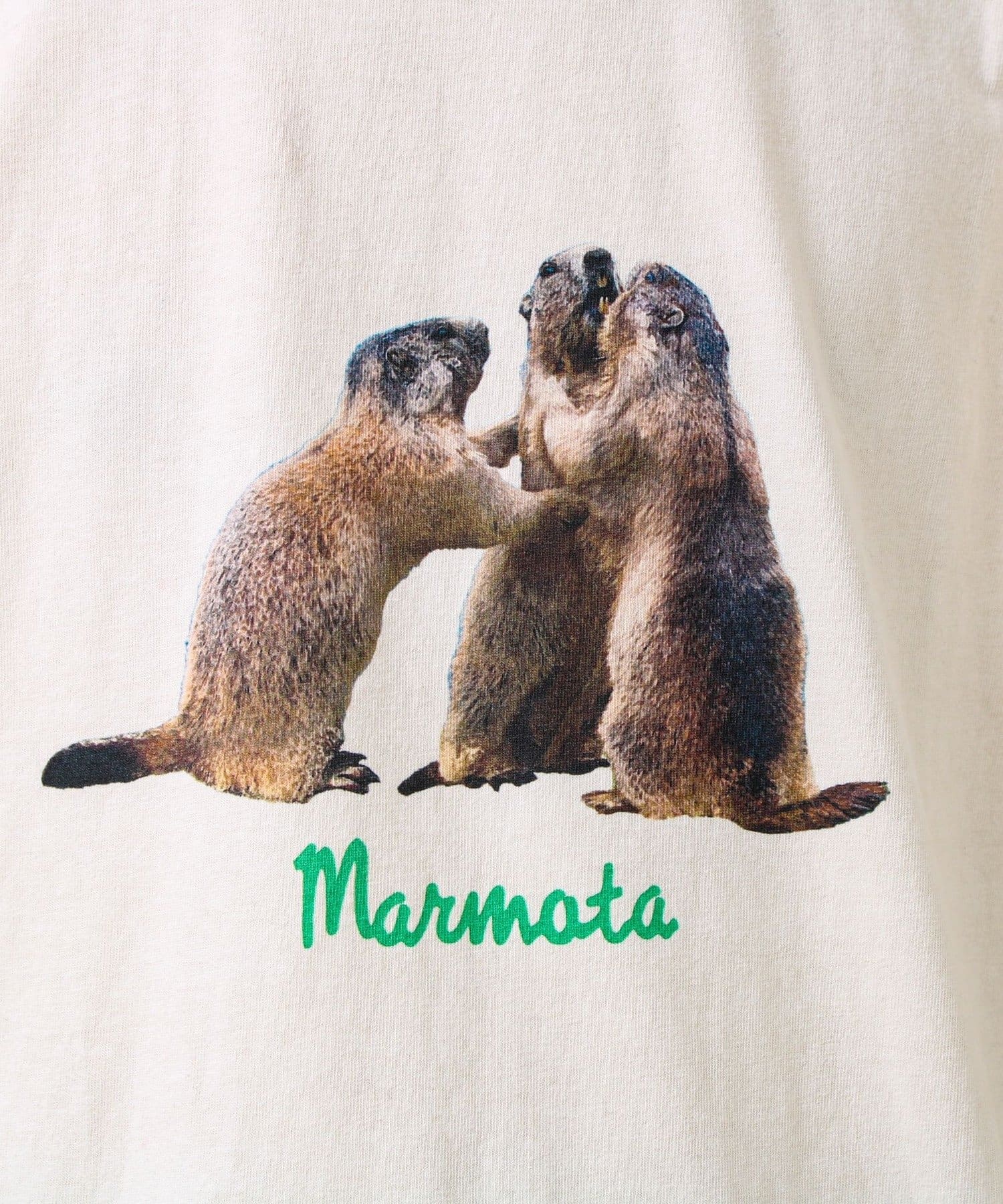 FREDY & GLOSTER(フレディ アンド グロスター) 【大人も着やすい】リアルアニマル プリントTシャツ