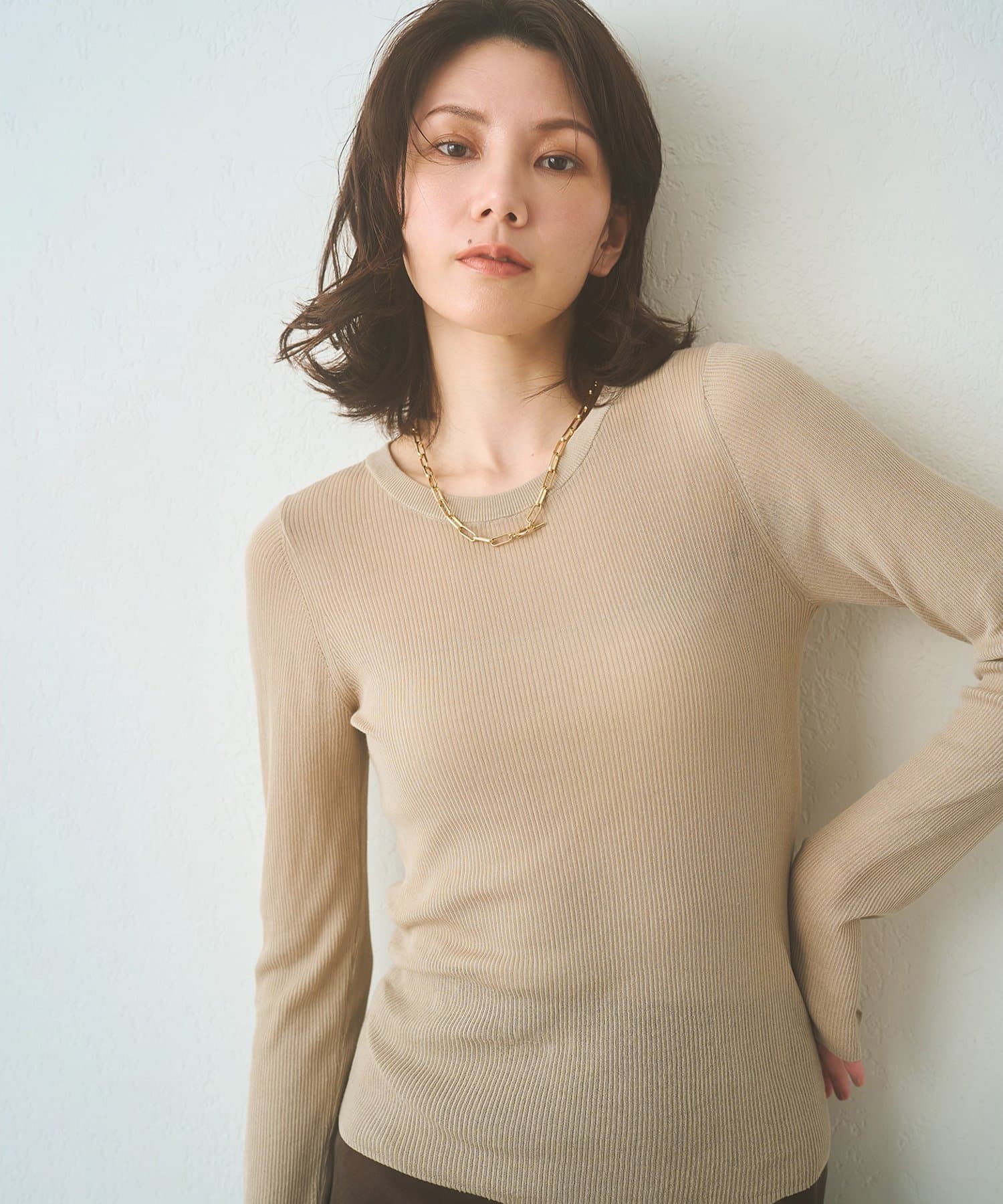 Whim Gazette(ウィム ガゼット) シアーリブニットプルオーバー