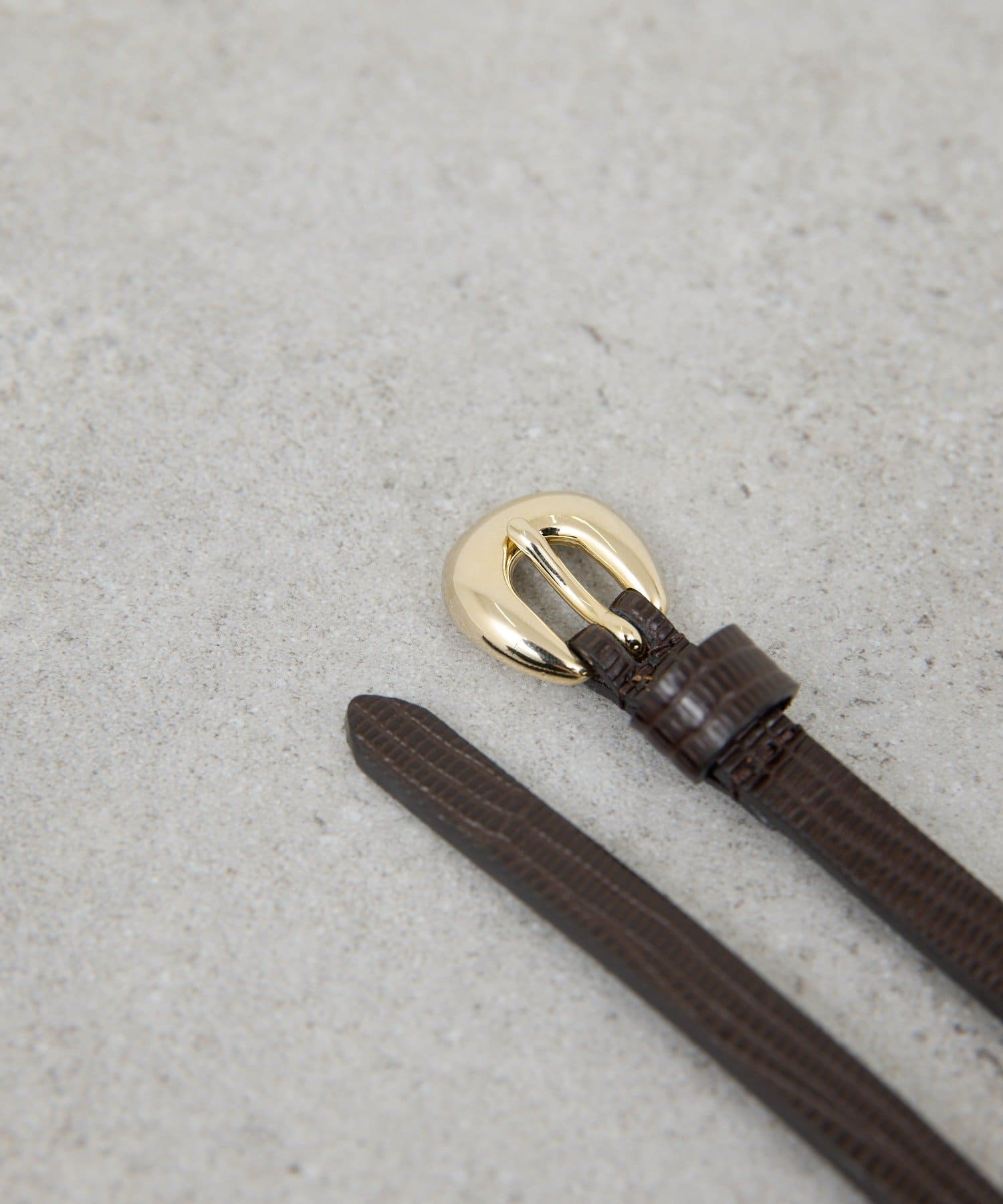 GALLARDAGALANTE(ガリャルダガランテ) 【近日予約開始】プランプバックルベルト