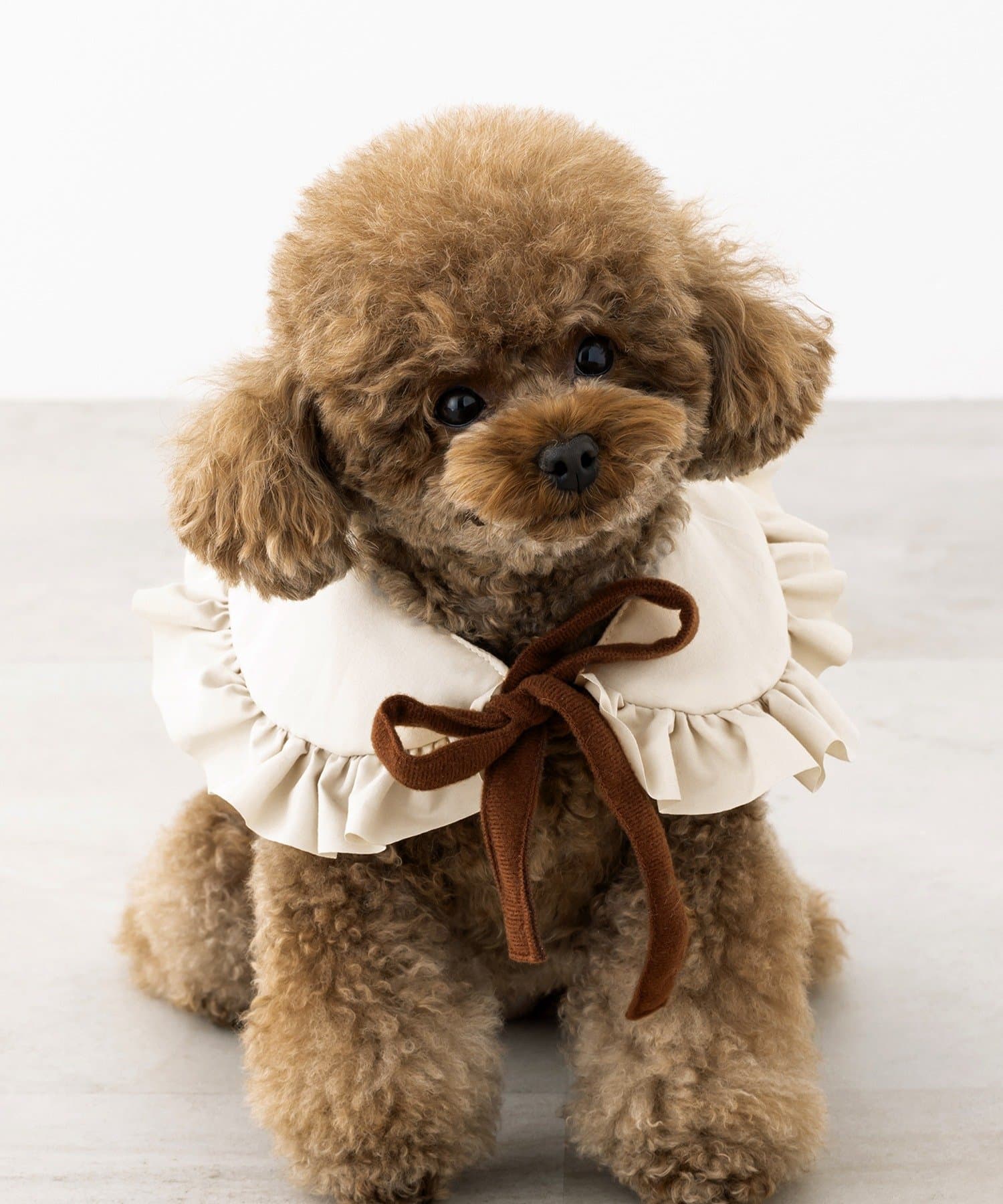 3COINS(スリーコインズ) つけ襟