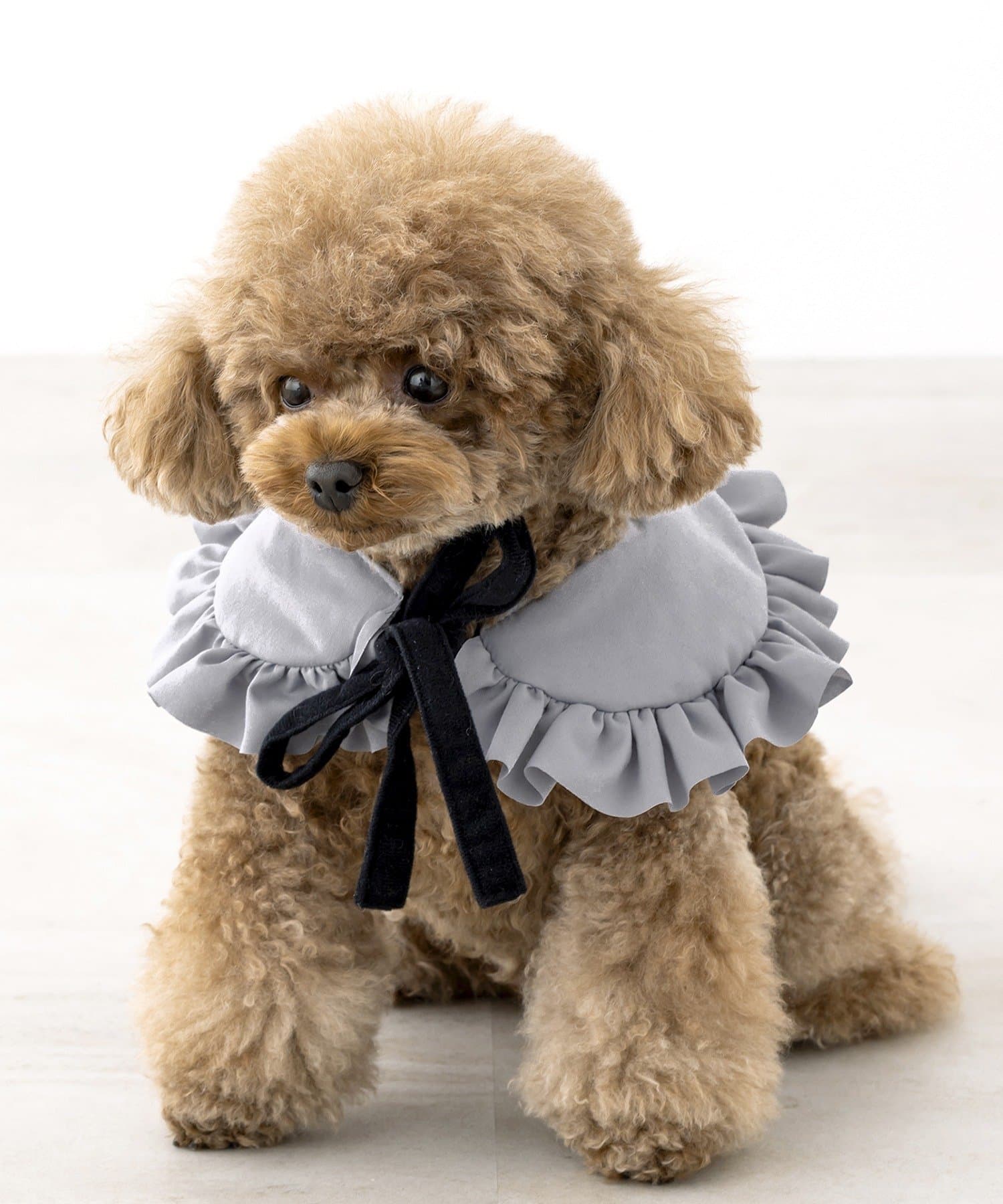 3COINS(スリーコインズ) つけ襟