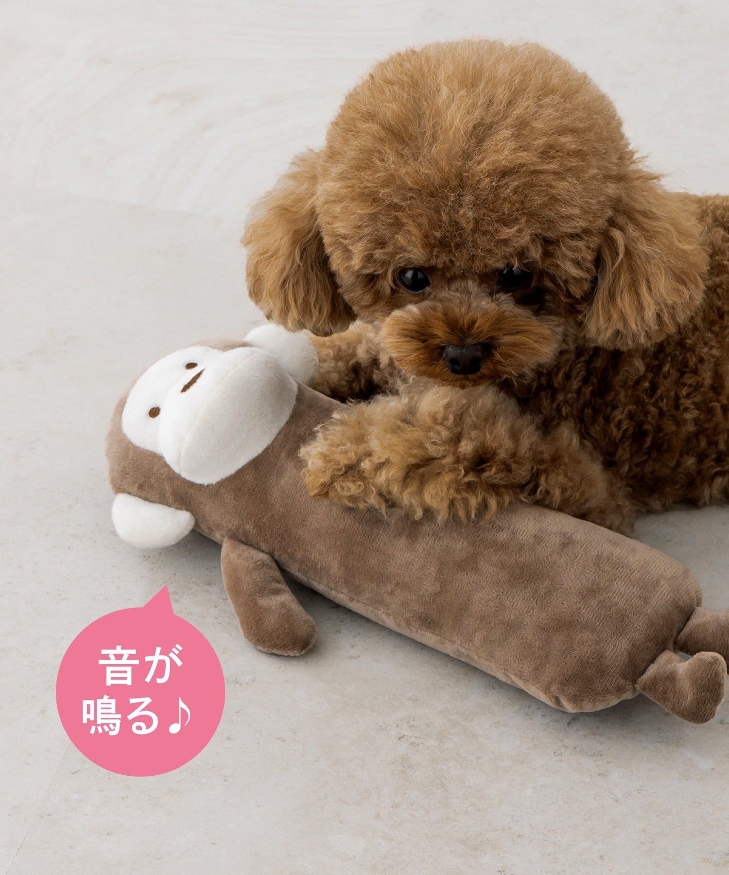 3COINS(スリーコインズ) 抱きぐるみ