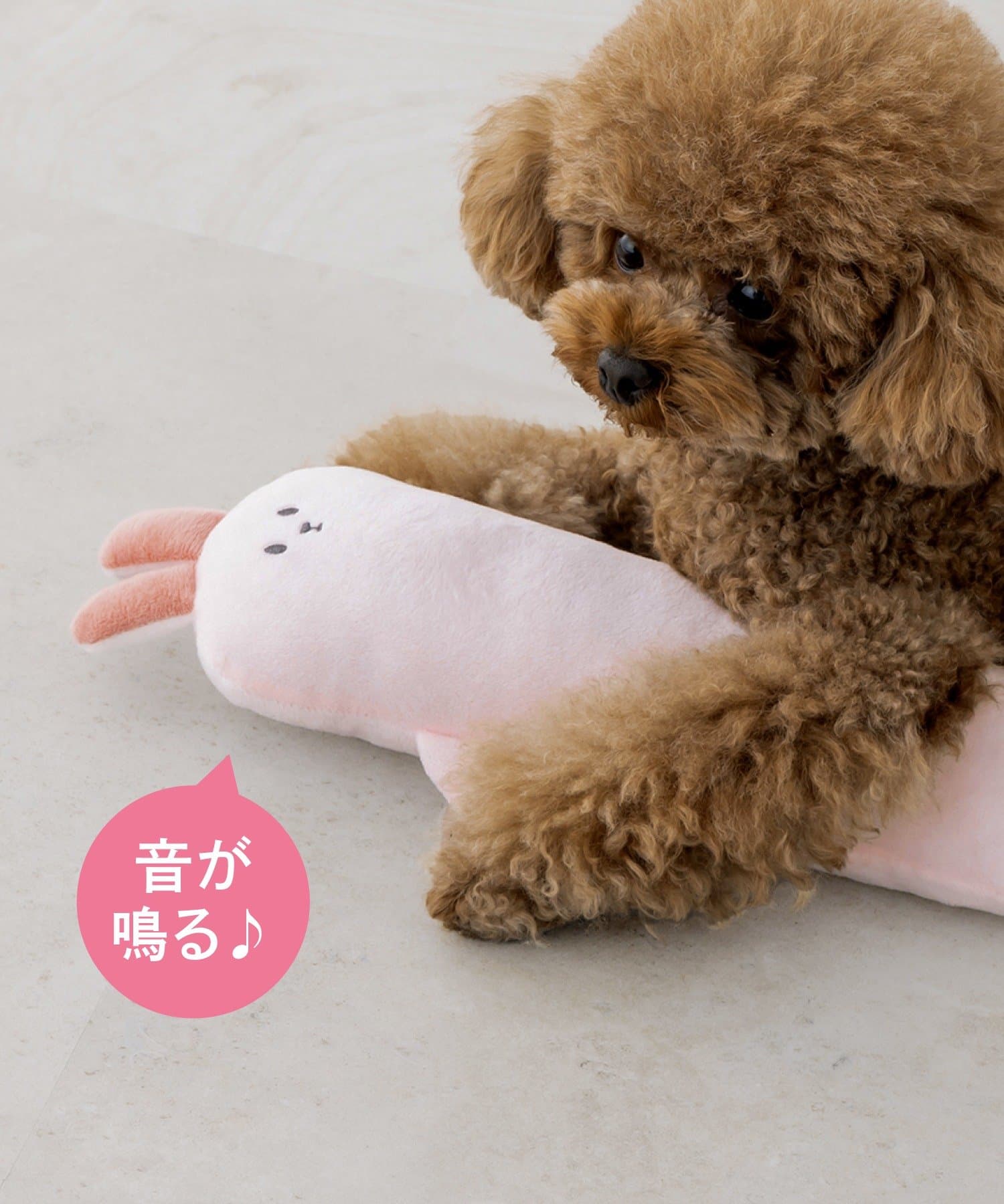 3COINS(スリーコインズ) 抱きぐるみ