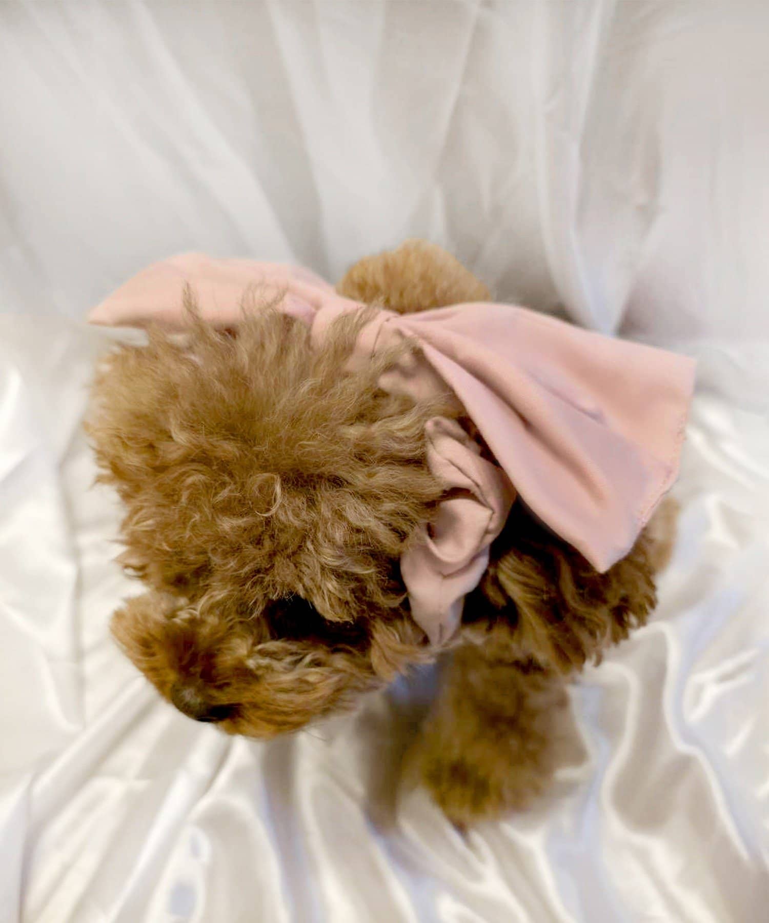 3COINS(スリーコインズ) リボンイヤーシュシュ