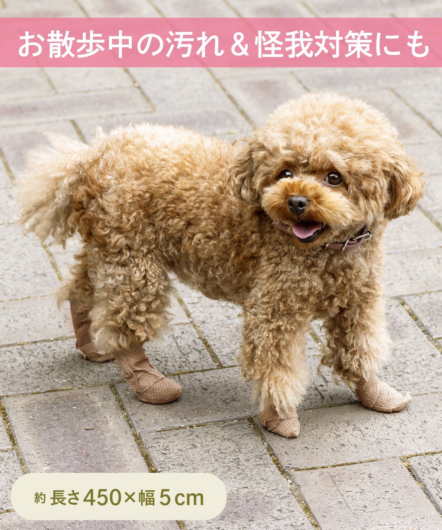 3COINS(スリーコインズ) 使い捨てロールシューズ：5cm幅