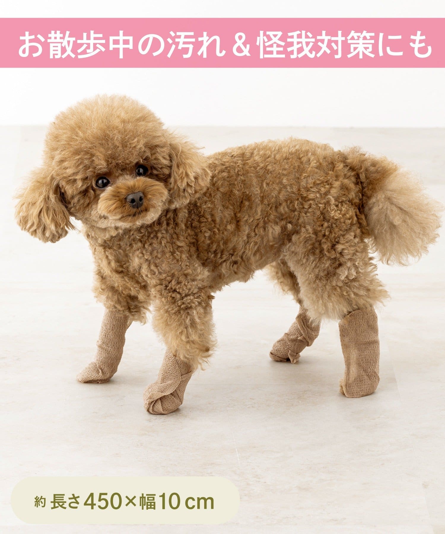 3COINS(スリーコインズ) 使い捨てロールシューズ：10cm幅