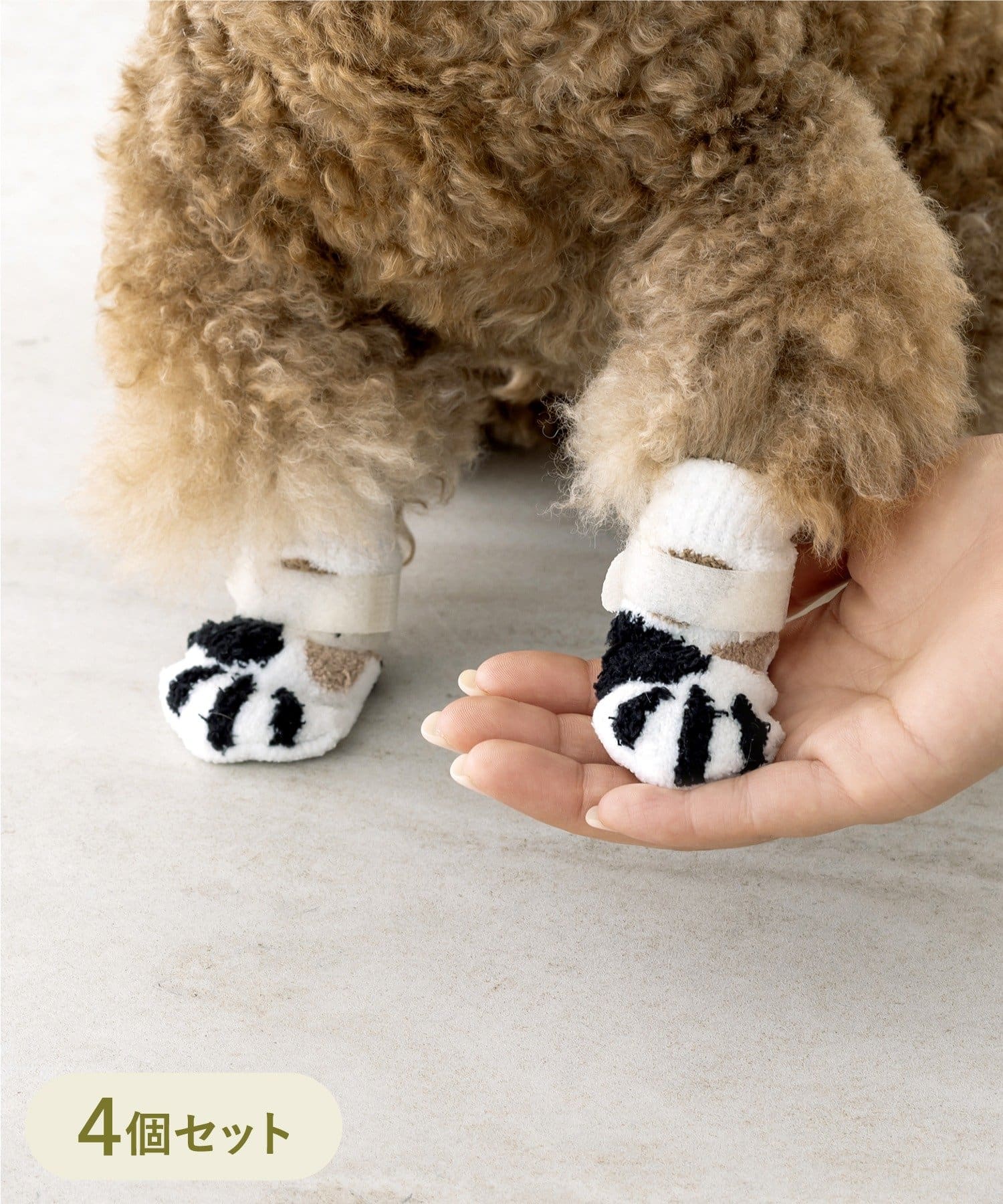 3COINS(スリーコインズ) 靴下