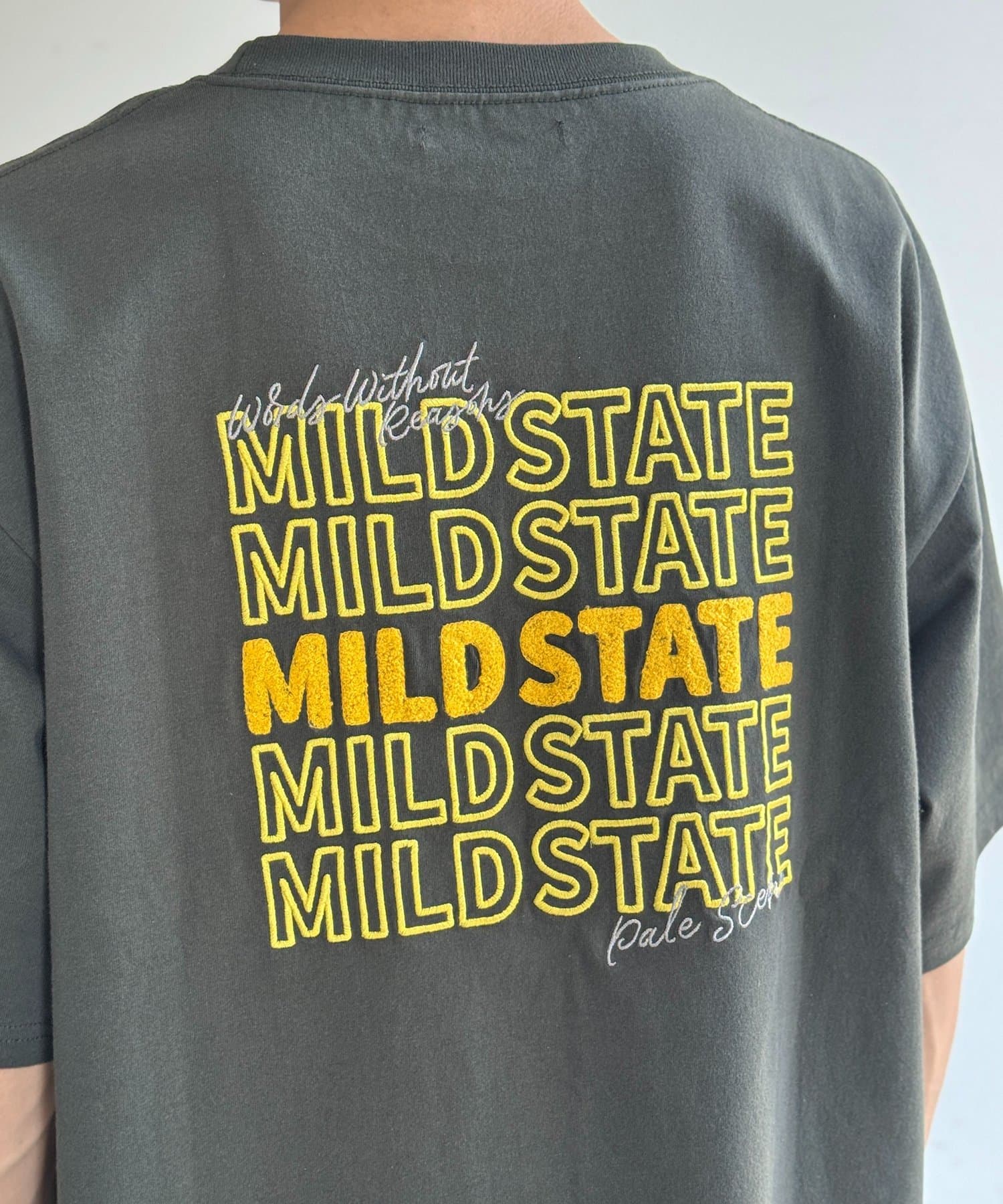 CPCM(シーピーシーエム) アソートバック刺繍T