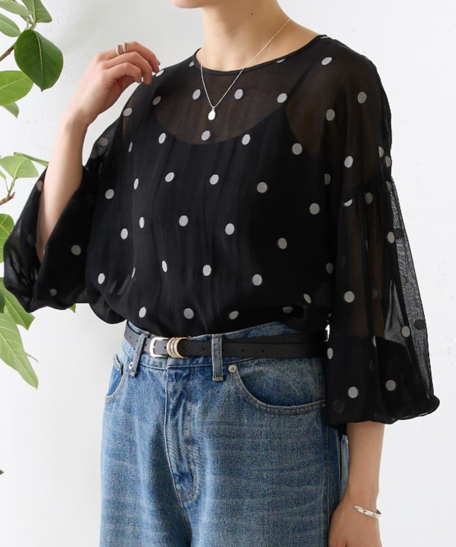 BEARDSLEY(ビアズリー) 《2/12(木)12：00予約開始》シアードットジャガードブラウス