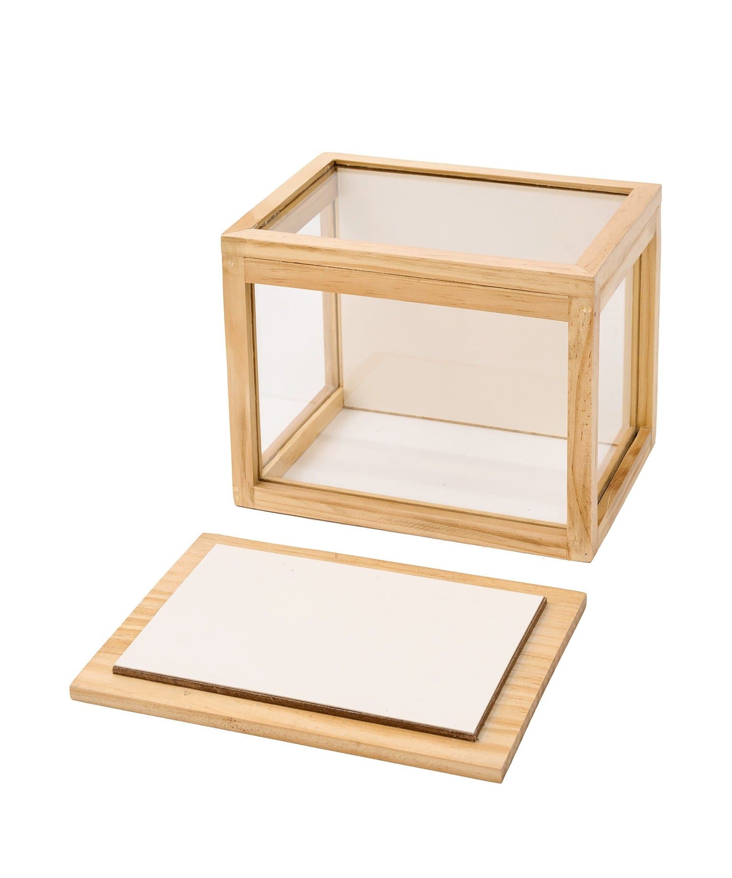 salut!(サリュ) ディスプレイガラスケース／こどもの日