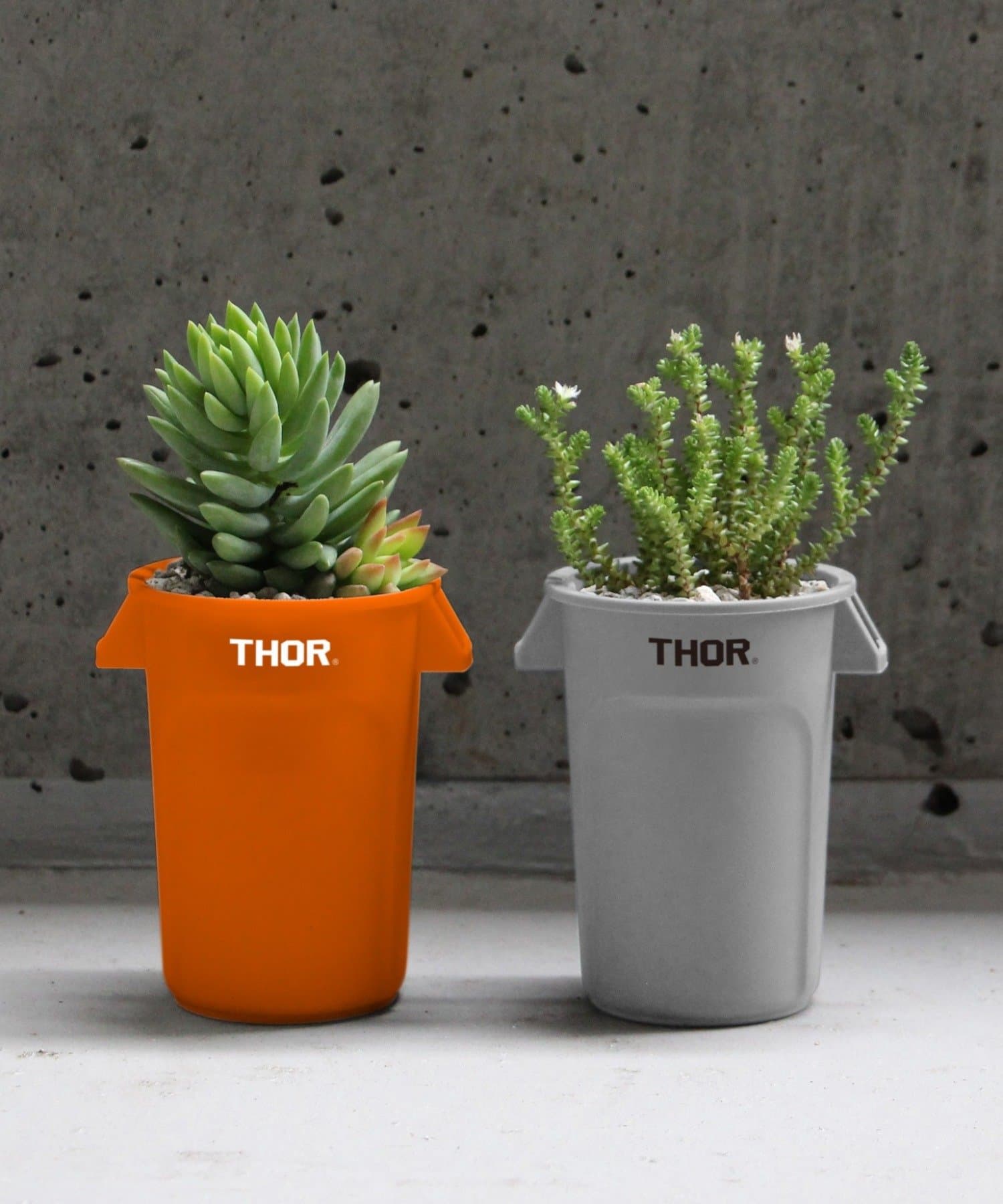 BIRTHDAY BAR(バースデイバー) THOR MINI ROUND CONTAINER DC