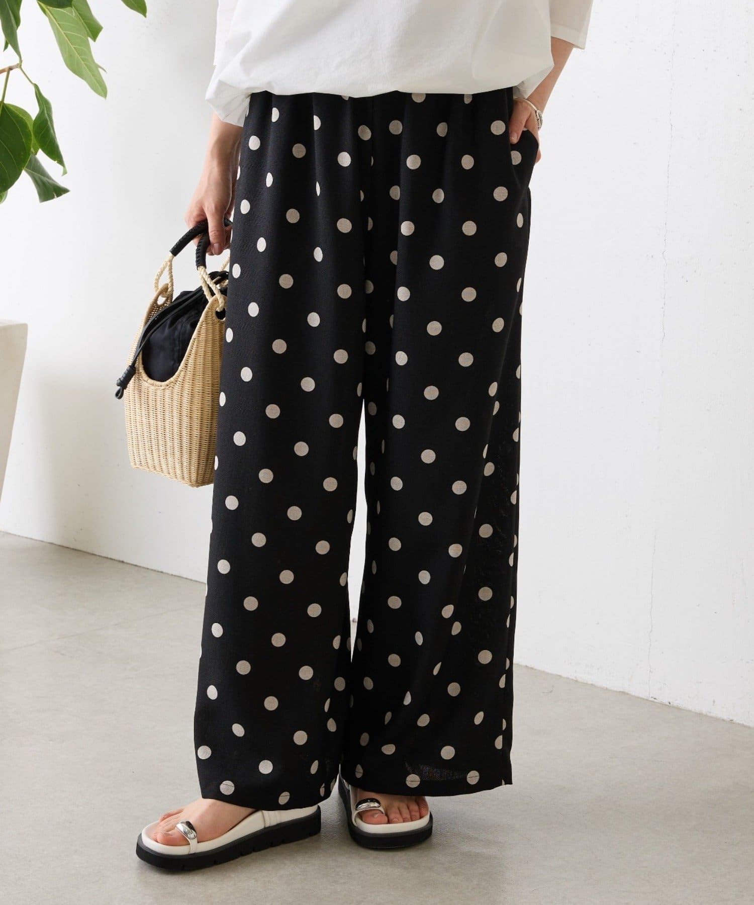 BEARDSLEY(ビアズリー) 《2/12(木)12：00予約開始》ドットプリントパンツ