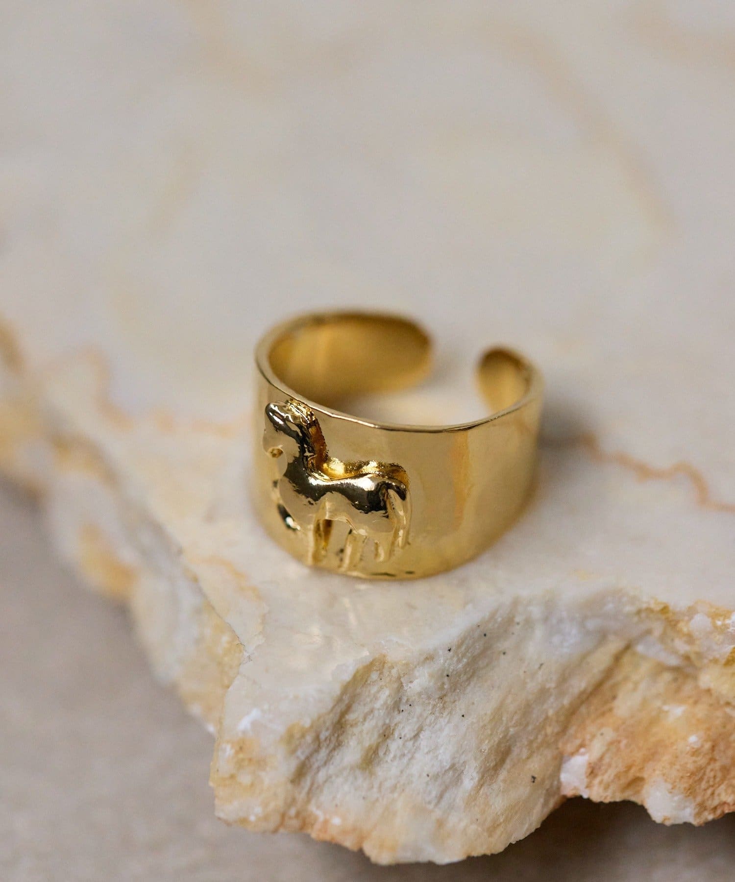 ear PAPILLONNER(イア パピヨネ) 《WEB＆一部店舗限定》幅広ホースリング