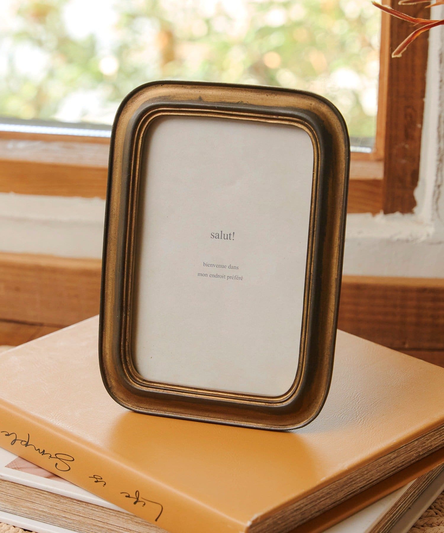 salut!(サリュ) ラウンドコーナーフォトフレーム