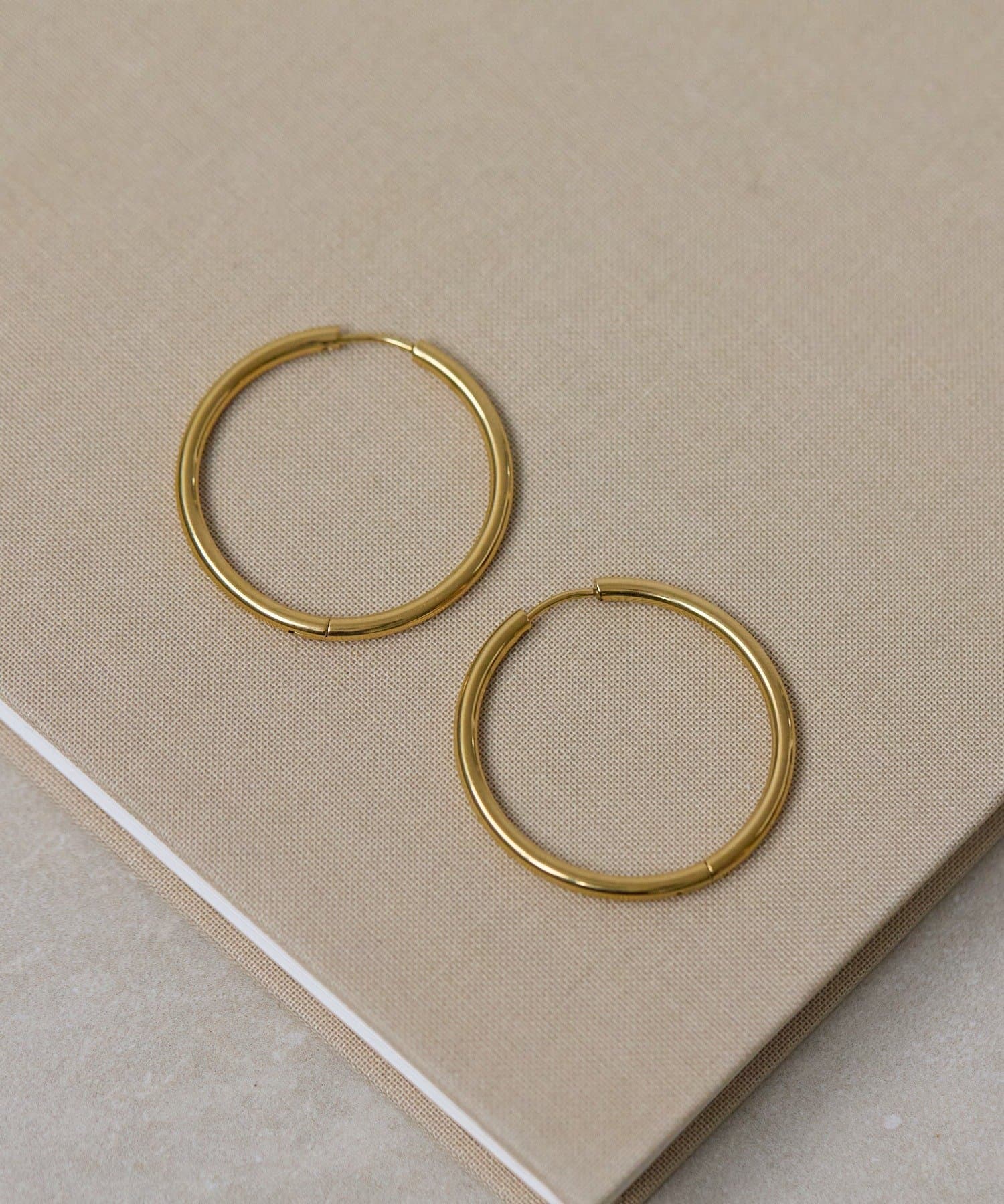 ear PAPILLONNER(イア パピヨネ) カラー樹脂ペタルピアス