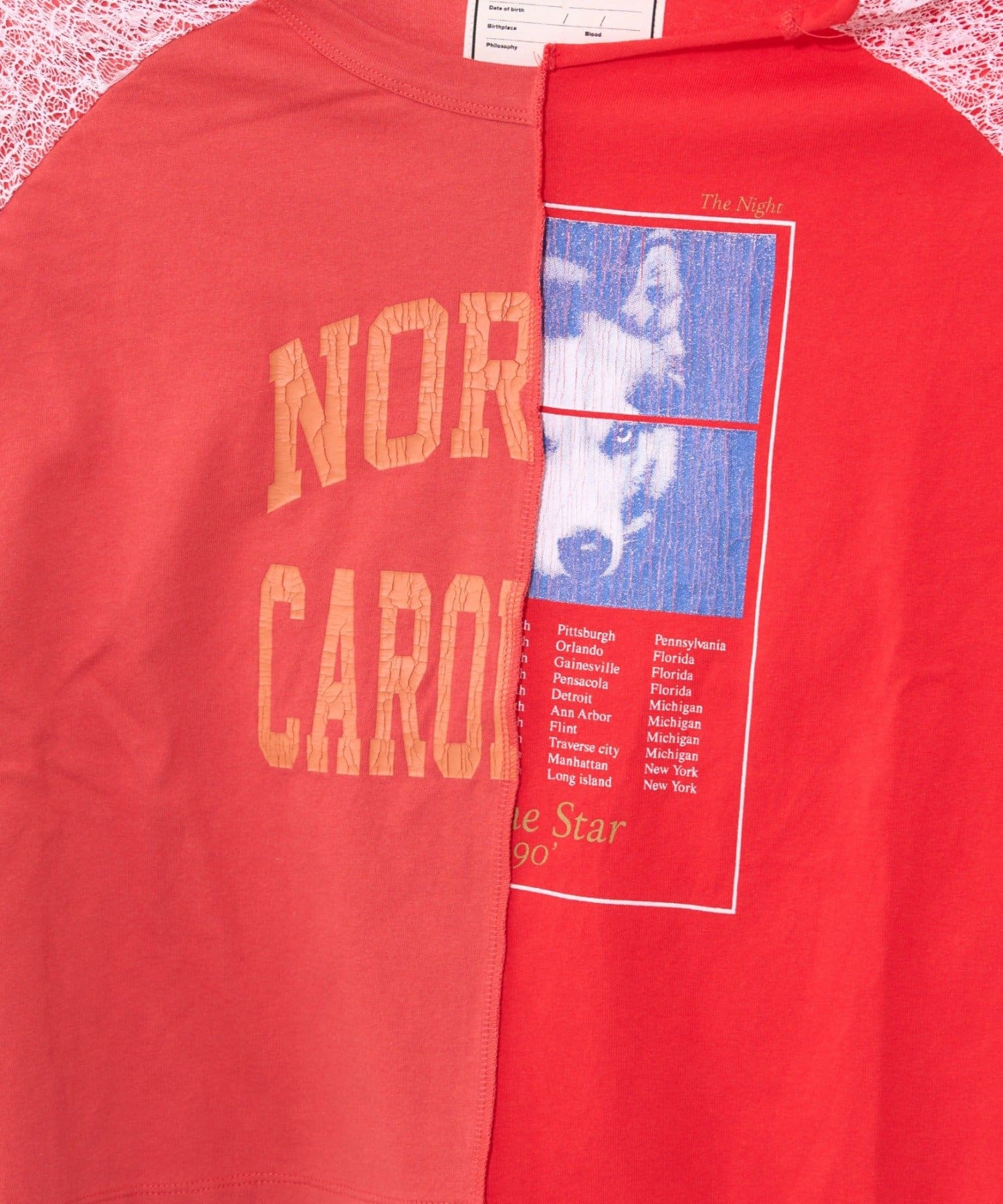 CIAOPANIC TYPY(チャオパニックティピー) 【etsinta】袖レースリメイク切替カレッジTee