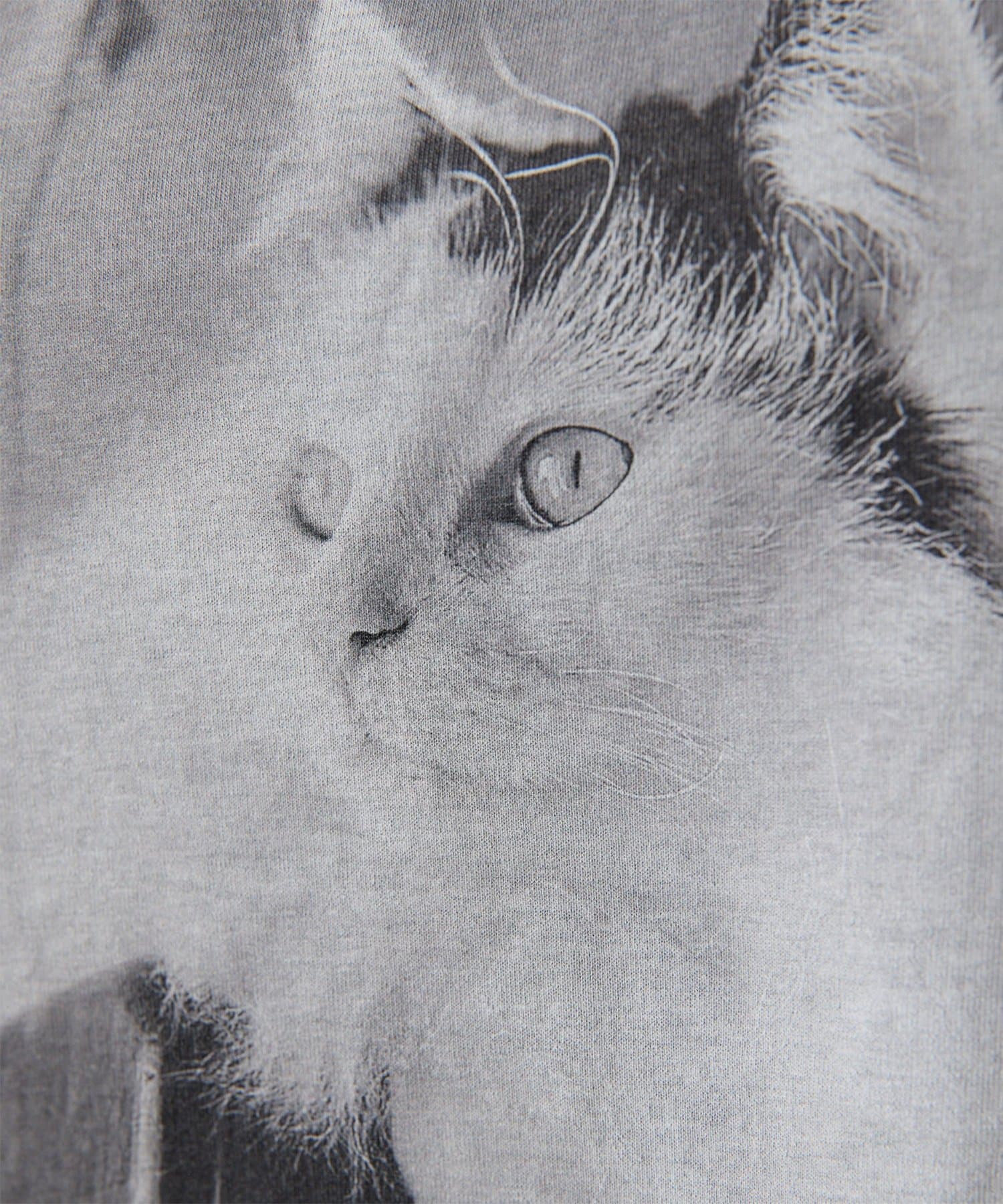 Whim Gazette(ウィム ガゼット) 【THE PAUSE】CATフォトTシャツ
