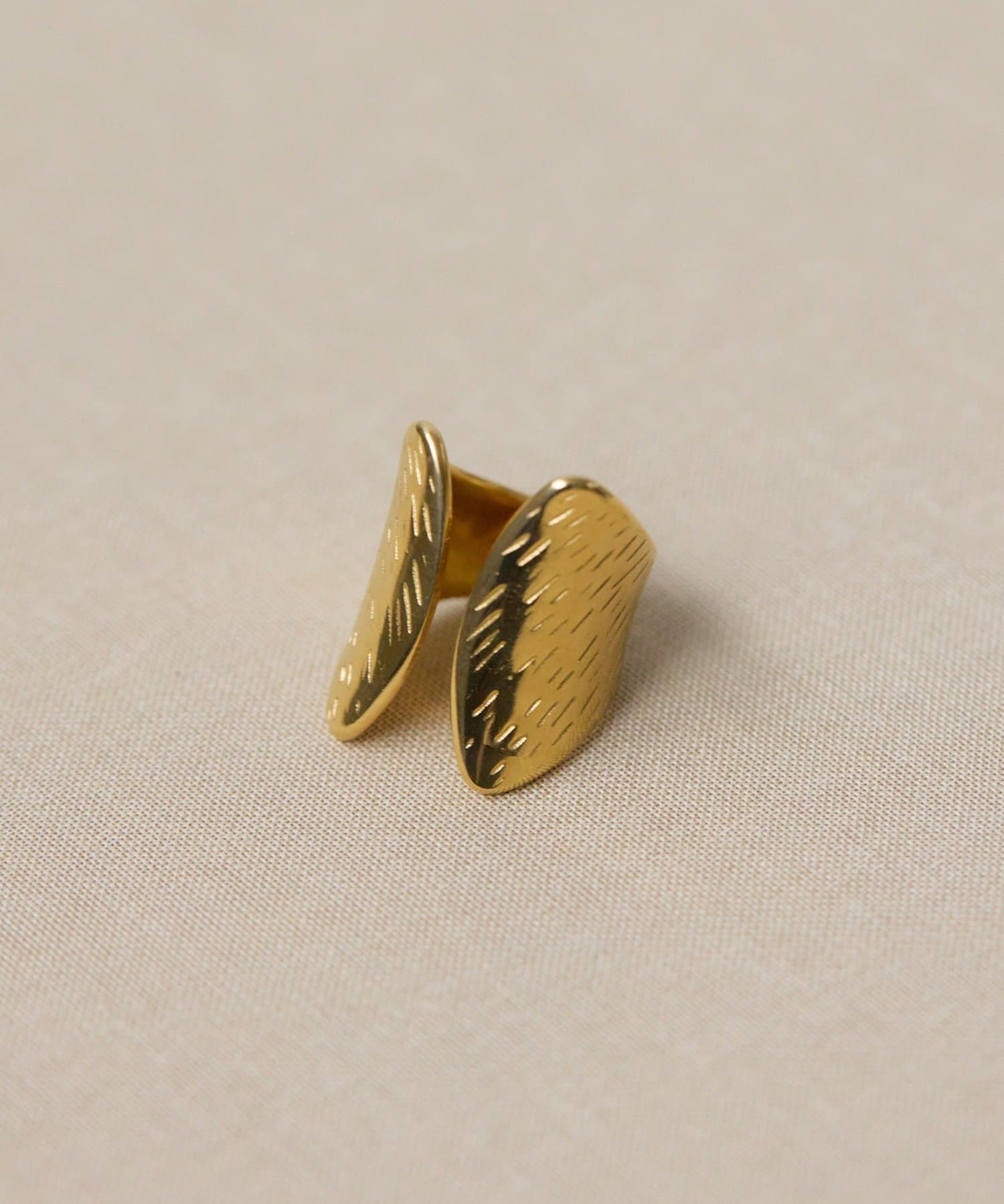 ear PAPILLONNER(イア パピヨネ) 《金属アレルギー対応/ステンレス》ボールドリング