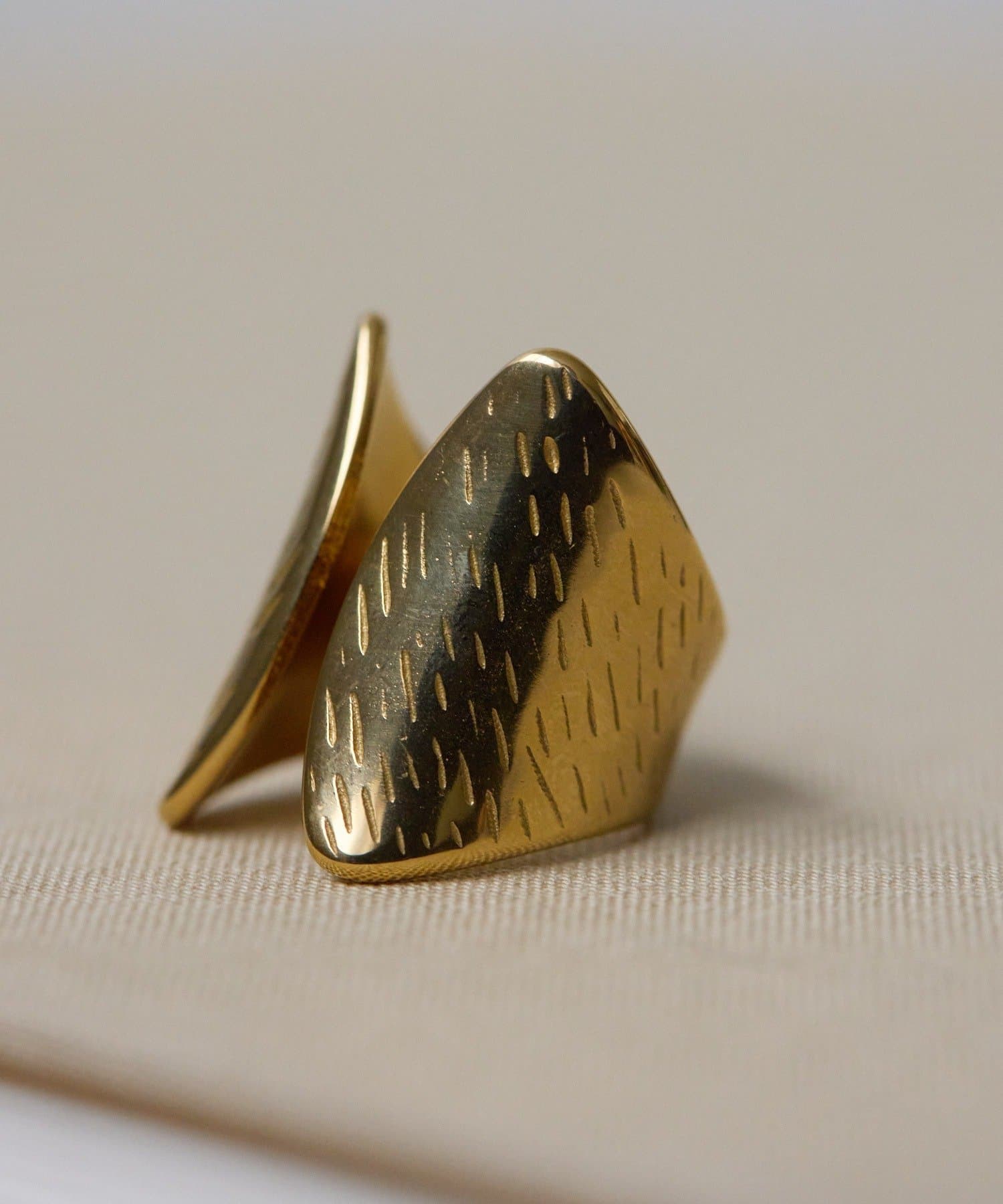 ear PAPILLONNER(イア パピヨネ) 《金属アレルギー対応/ステンレス》ボールドリング