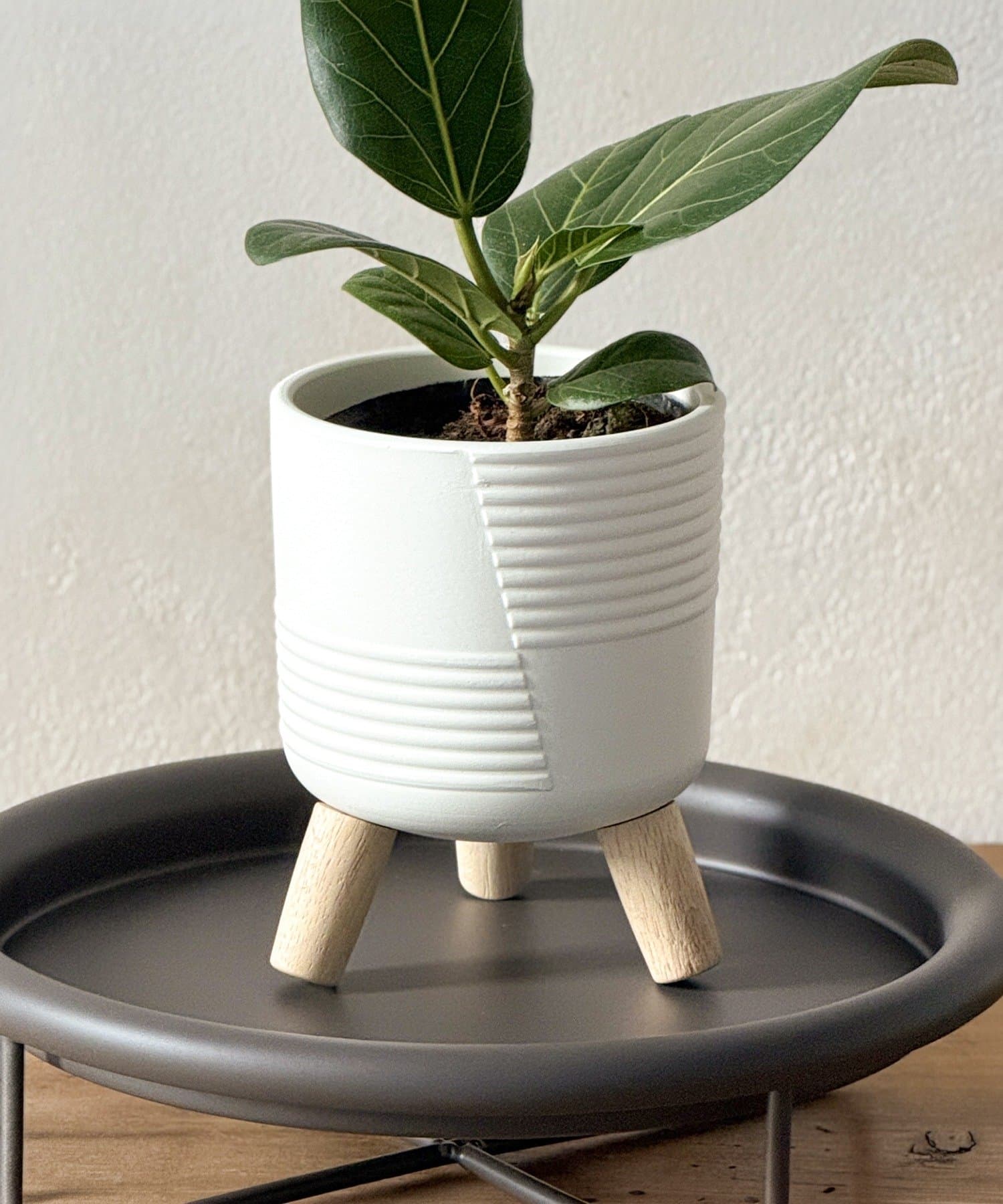 3COINS(スリーコインズ) 脚付きポット3号