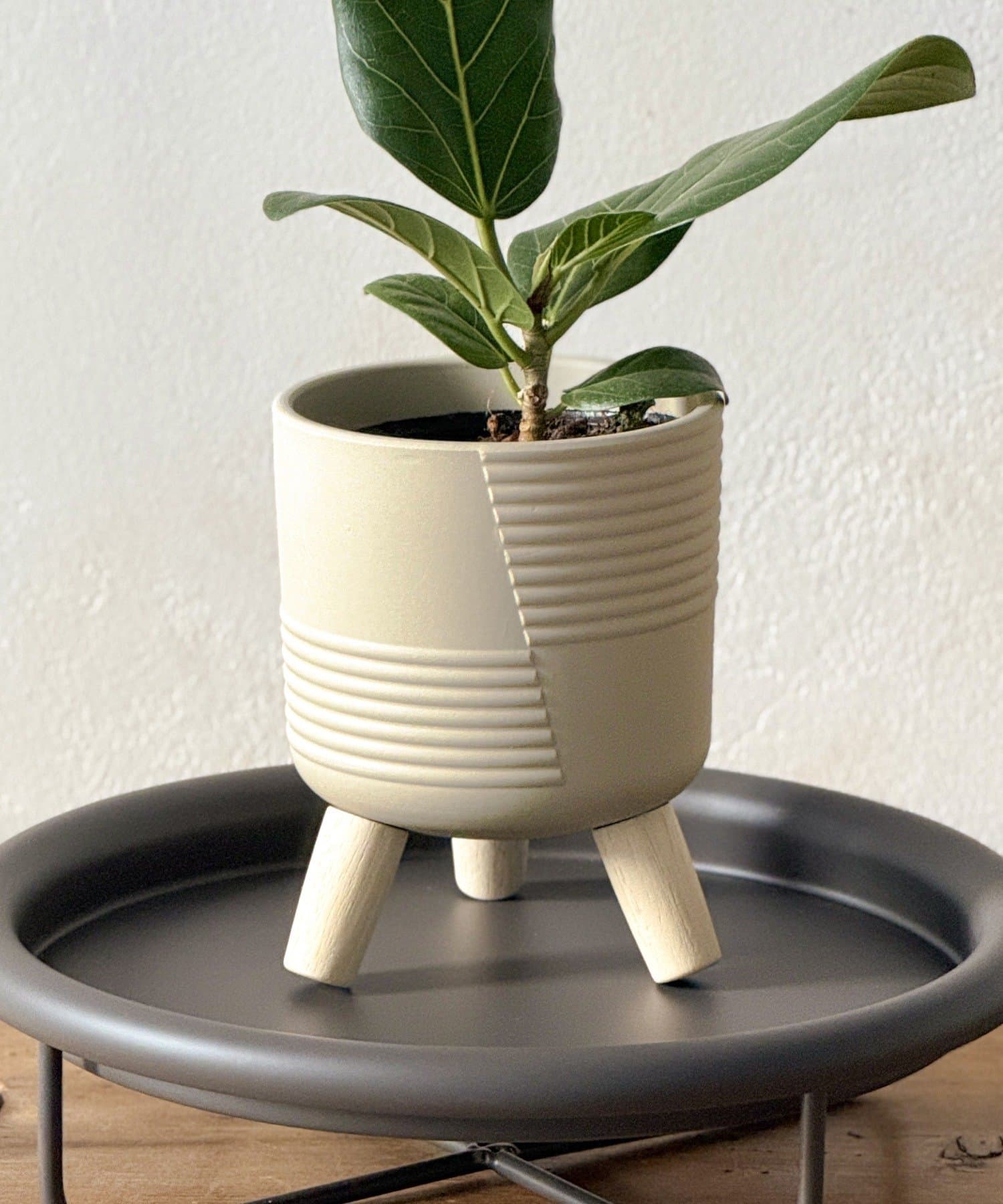 3COINS(スリーコインズ) 脚付きポット3号