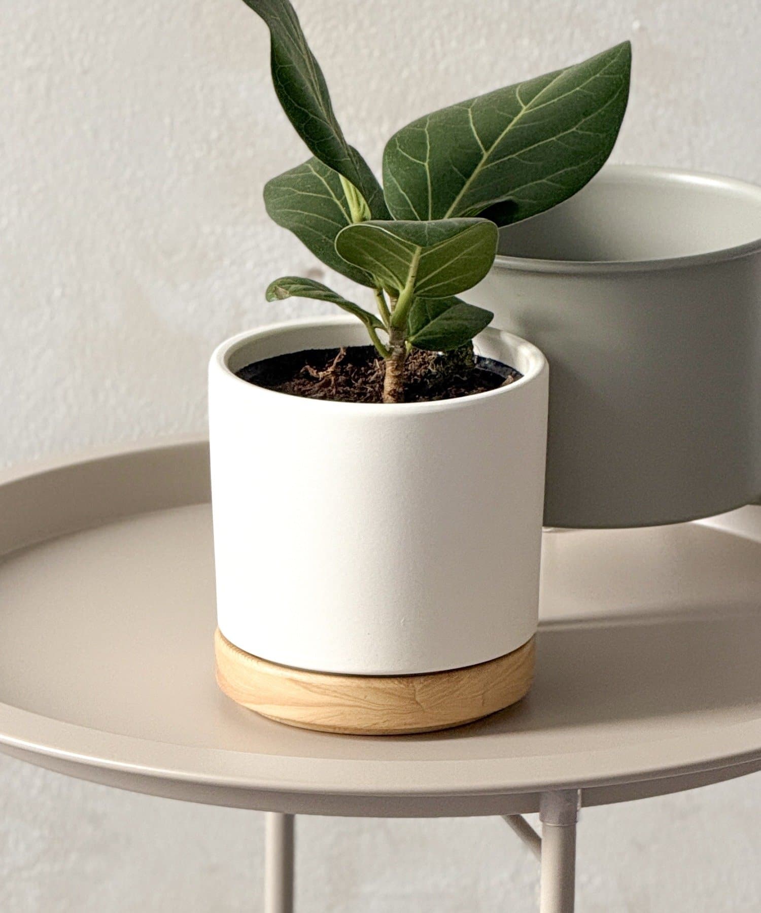 3COINS(スリーコインズ) レイヤードベースポット3号