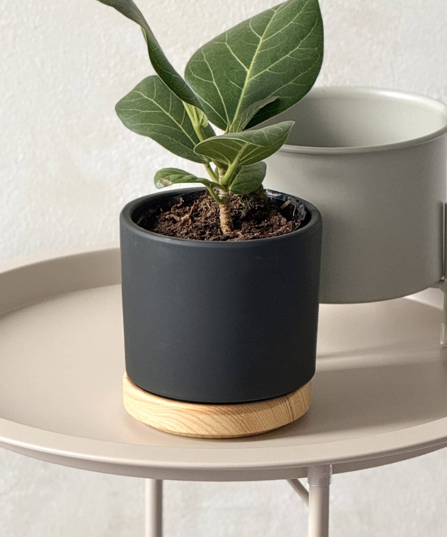 3COINS(スリーコインズ) レイヤードベースポット3号