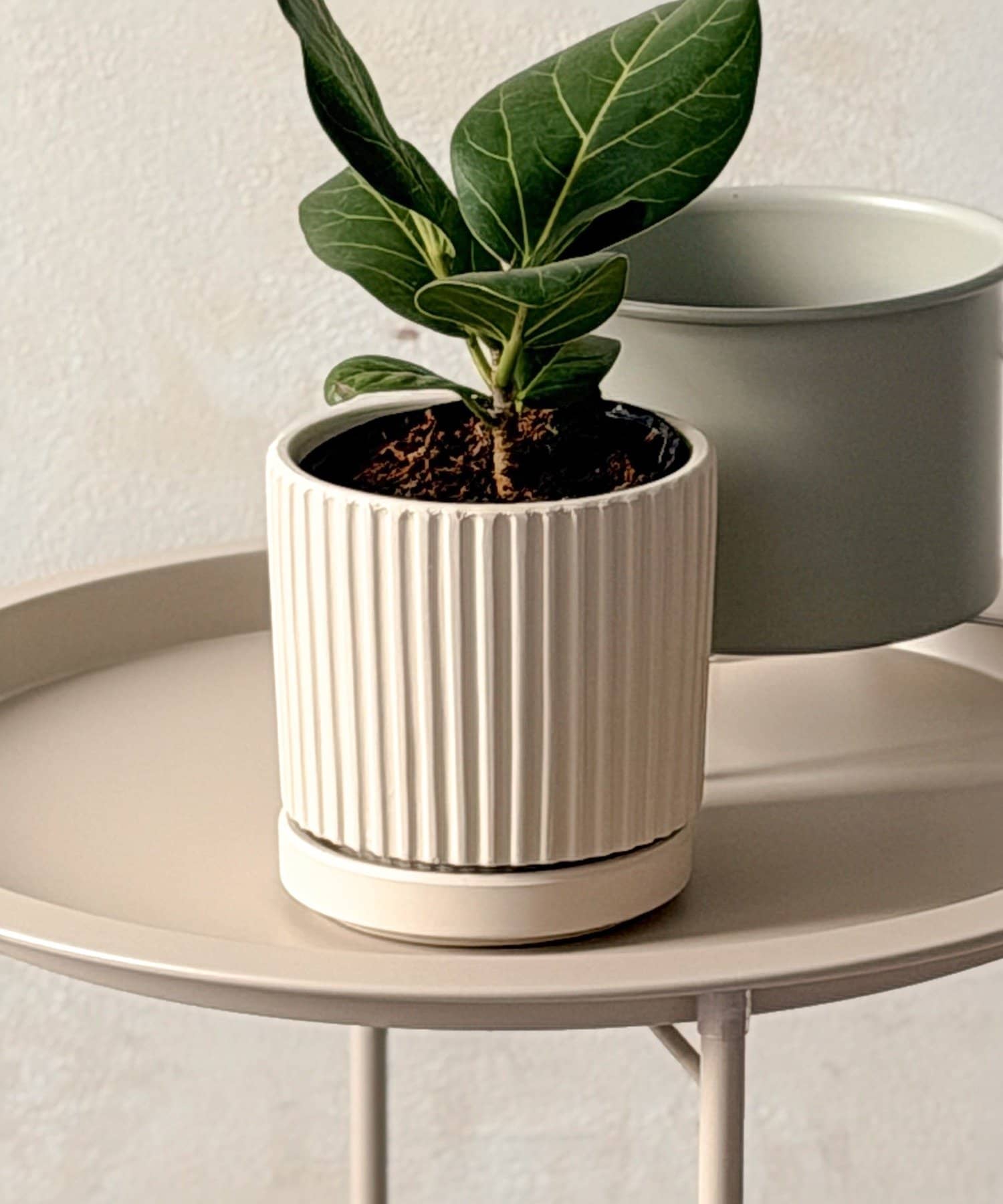 3COINS(スリーコインズ) ラインポット3号