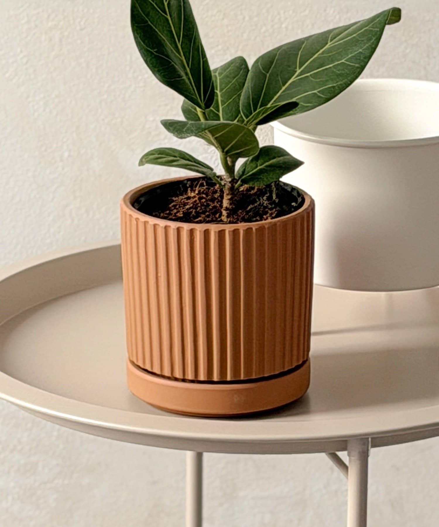 3COINS(スリーコインズ) ラインポット3号