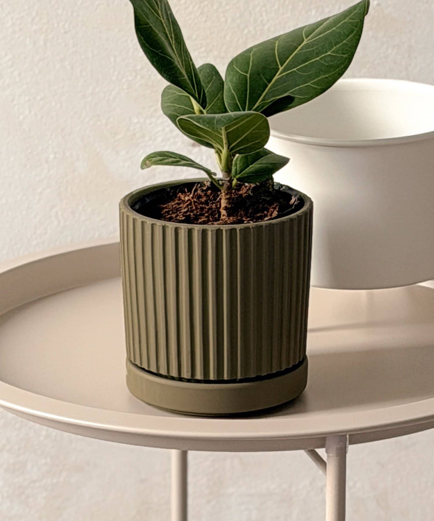 3COINS(スリーコインズ) ラインポット3号