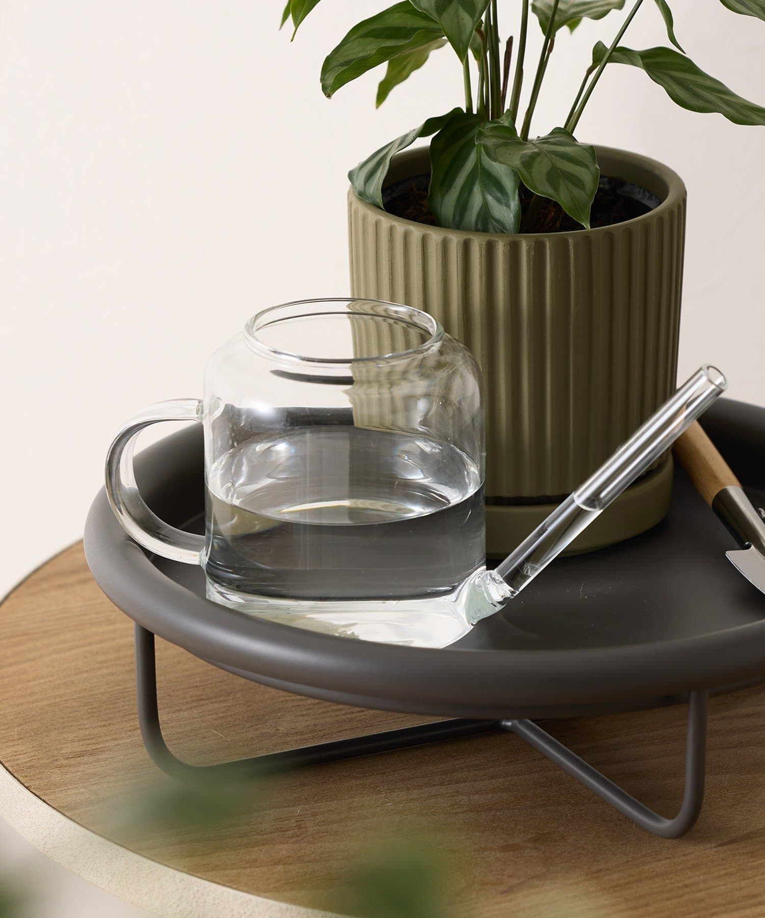 3COINS(スリーコインズ) ガラスジョウロ