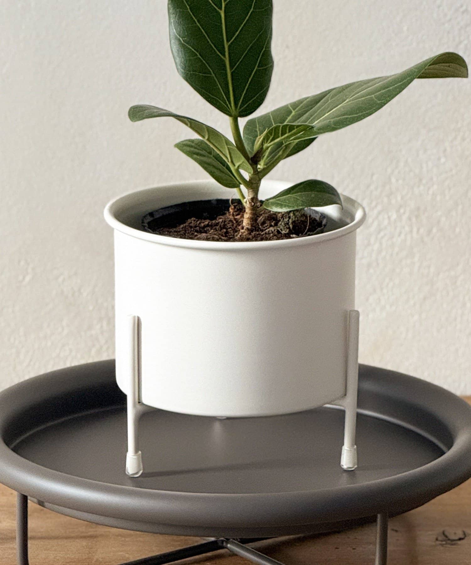 3COINS(スリーコインズ) アイアンポット4号