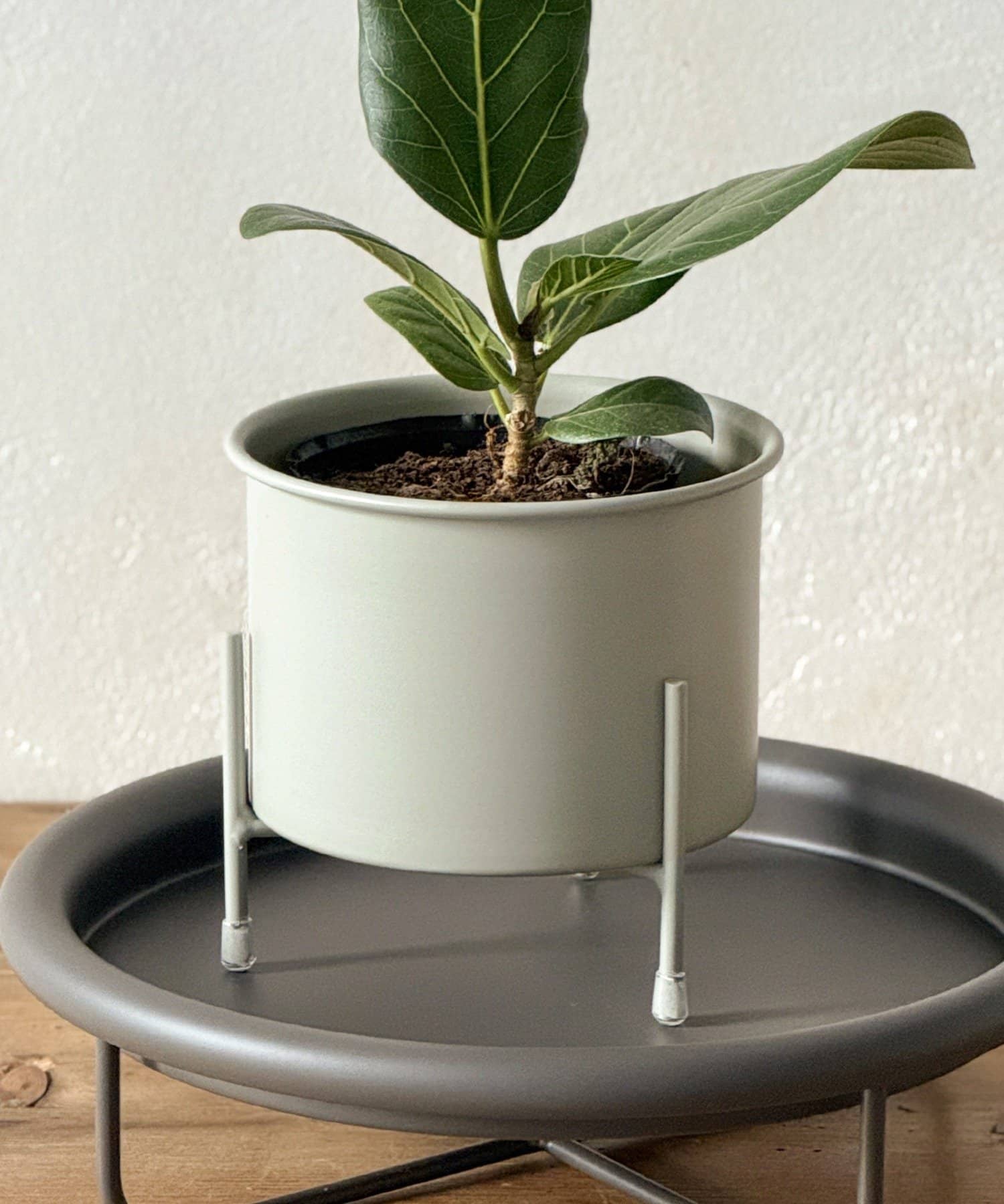 3COINS(スリーコインズ) アイアンポット4号