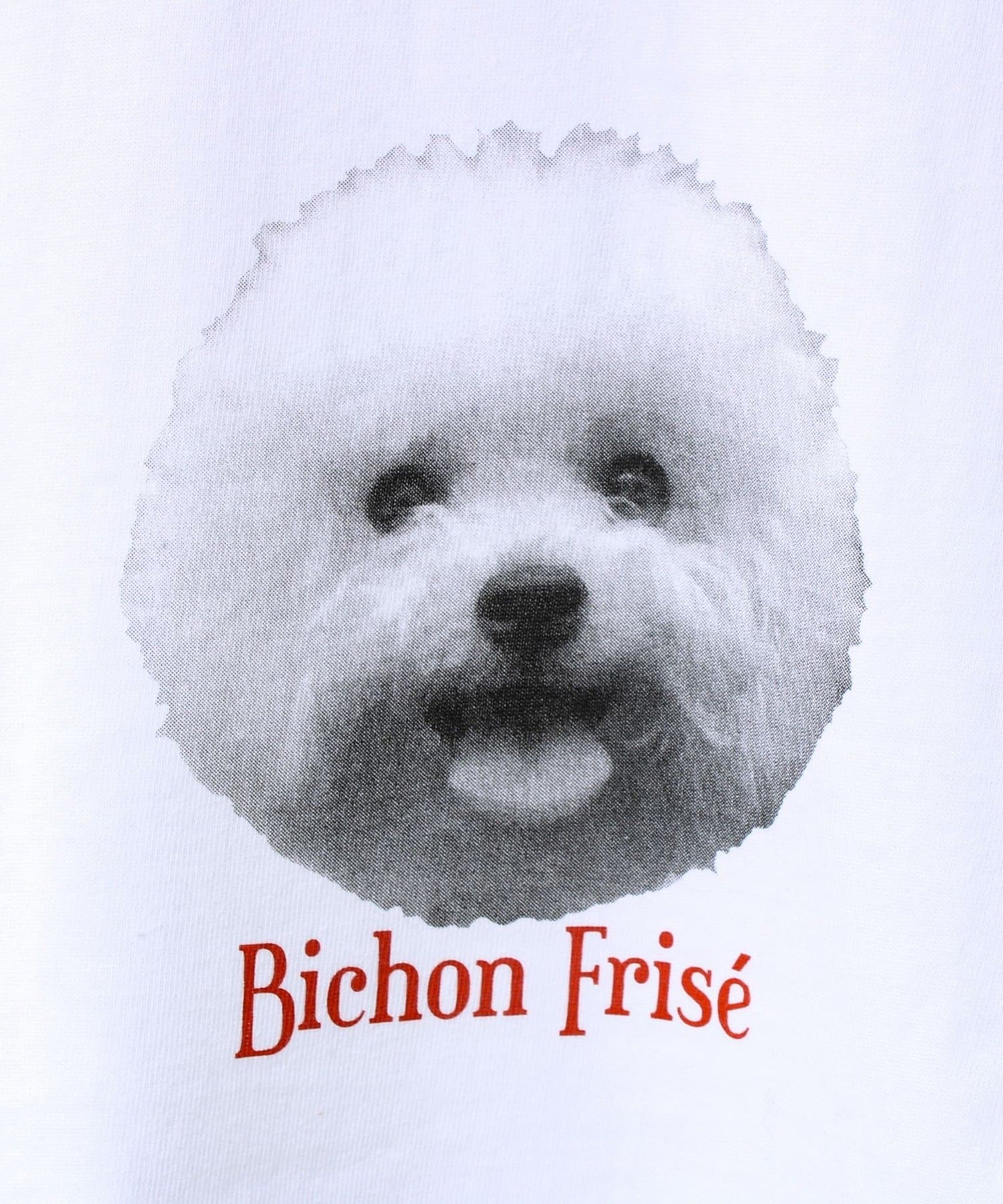 FREDY & GLOSTER(フレディ アンド グロスター) 【シリーズ累計人気】DOG＆CAT プリントTシャツ