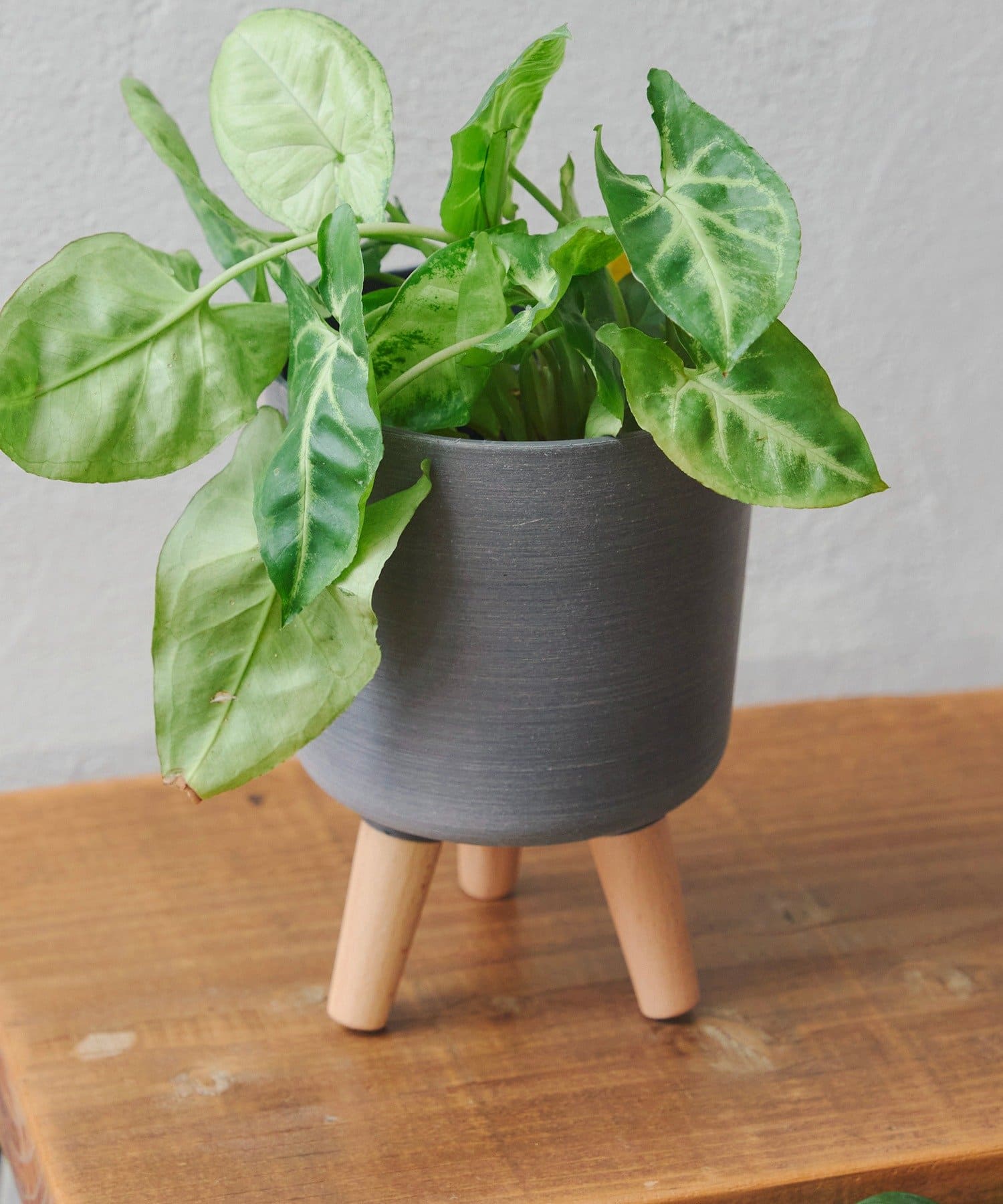 salut!(サリュ) 3号脚付きポットカバー