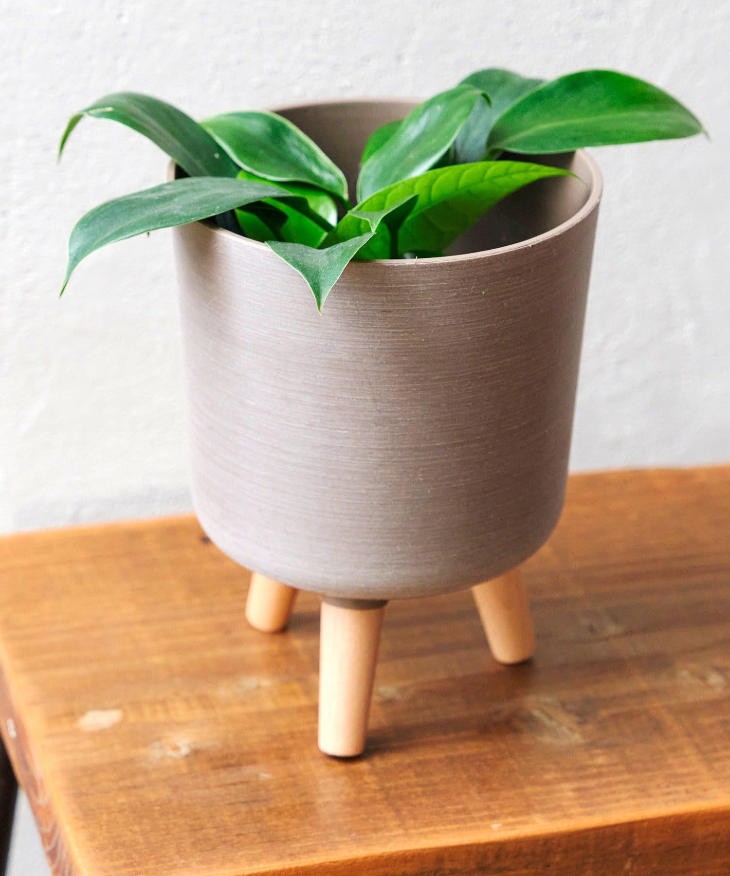 salut!(サリュ) 4号脚付きポットカバー